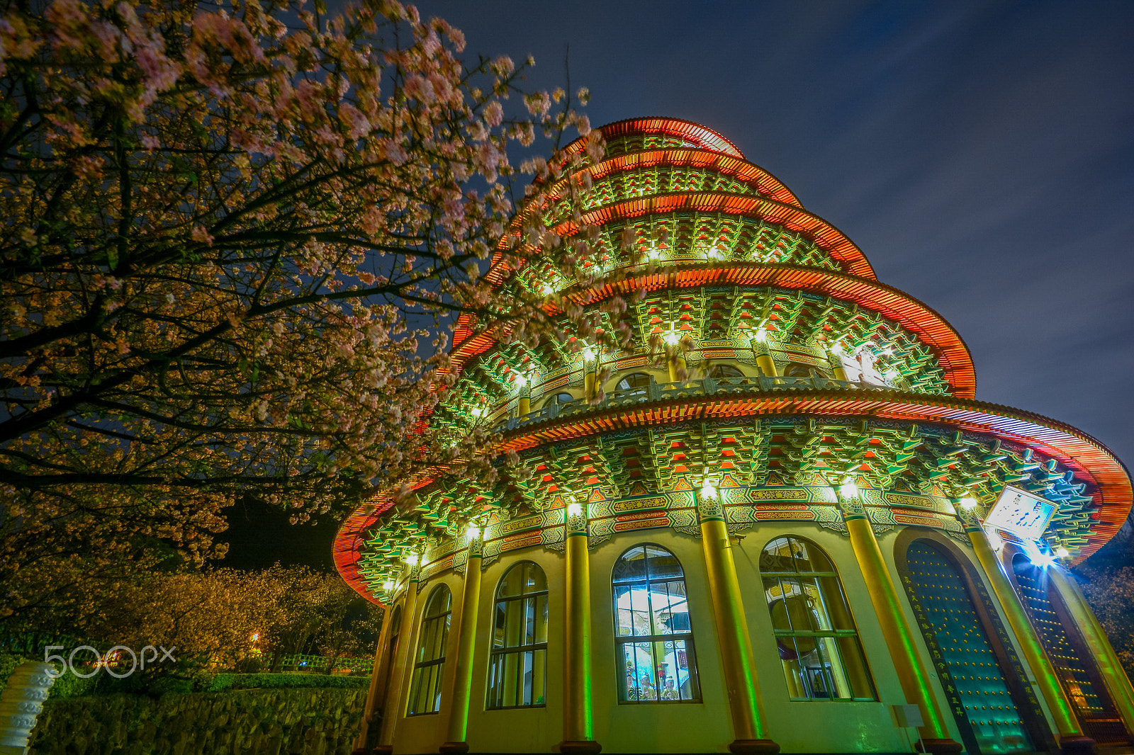Sigma 10-20mm F4-5.6 EX DC HSM sample photo. Night cherry blossoms photography