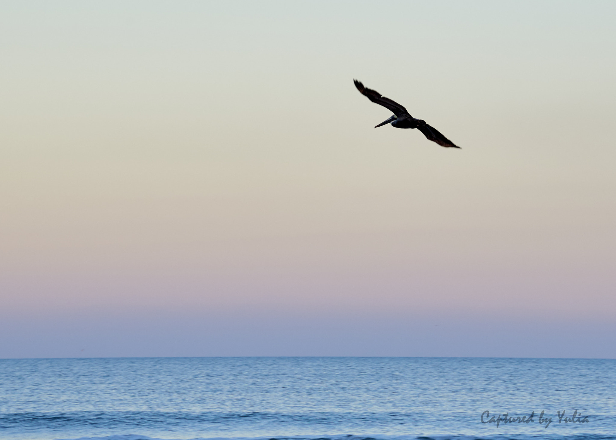 Nikon AF-S Nikkor 24-120mm F4G ED VR sample photo. Freedom to feel photography