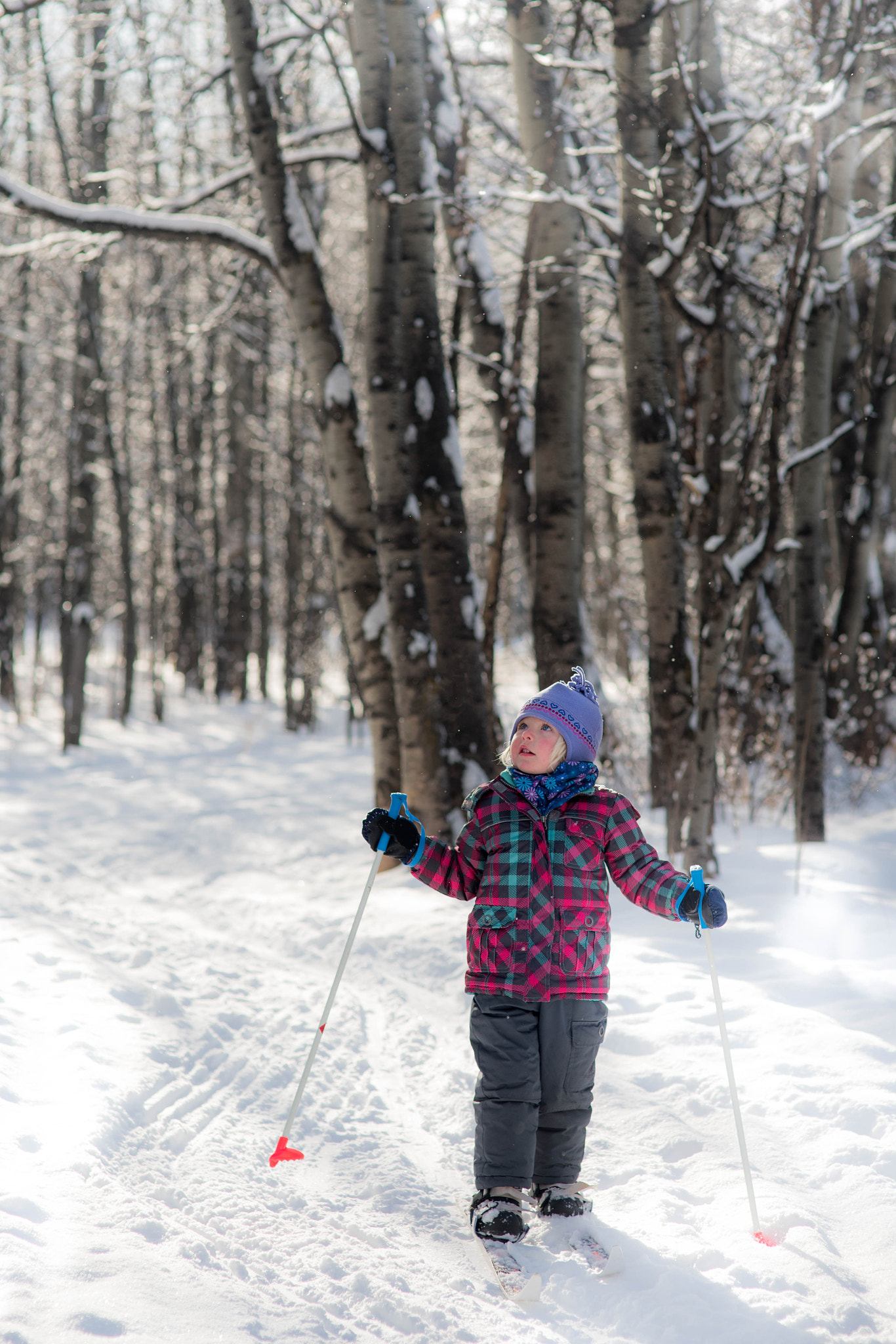 Nikon D750 + Sigma 85mm F1.4 EX DG HSM sample photo. Little adventure photography