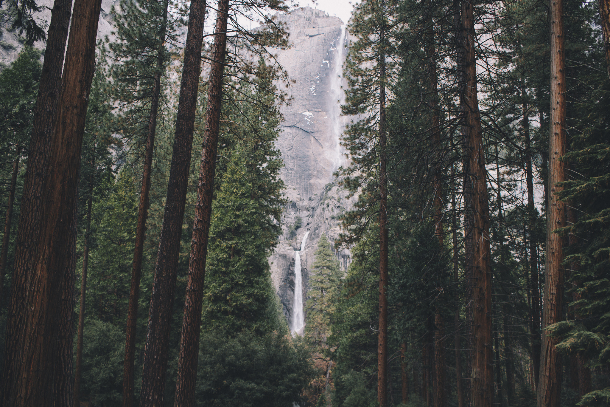 Canon EF-S 24mm F2.8 STM sample photo. Yosemite photography