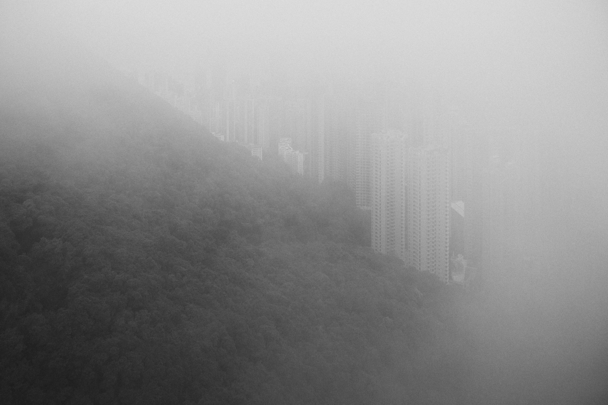 Canon EOS 5D Mark IV sample photo. Almost. hong kong peeks through the mist. photography