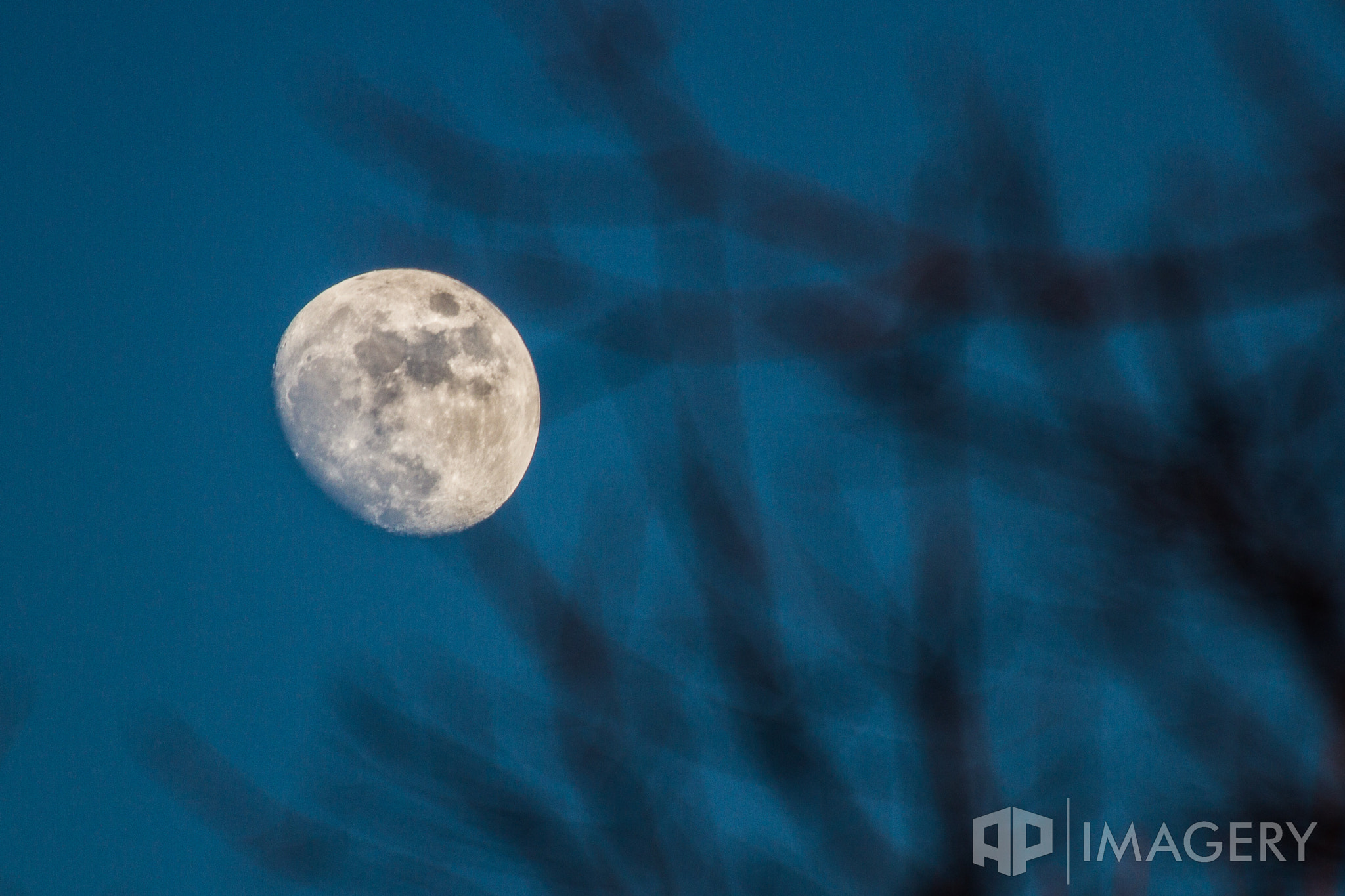 Canon EOS 7D sample photo. Moon behind tree photography