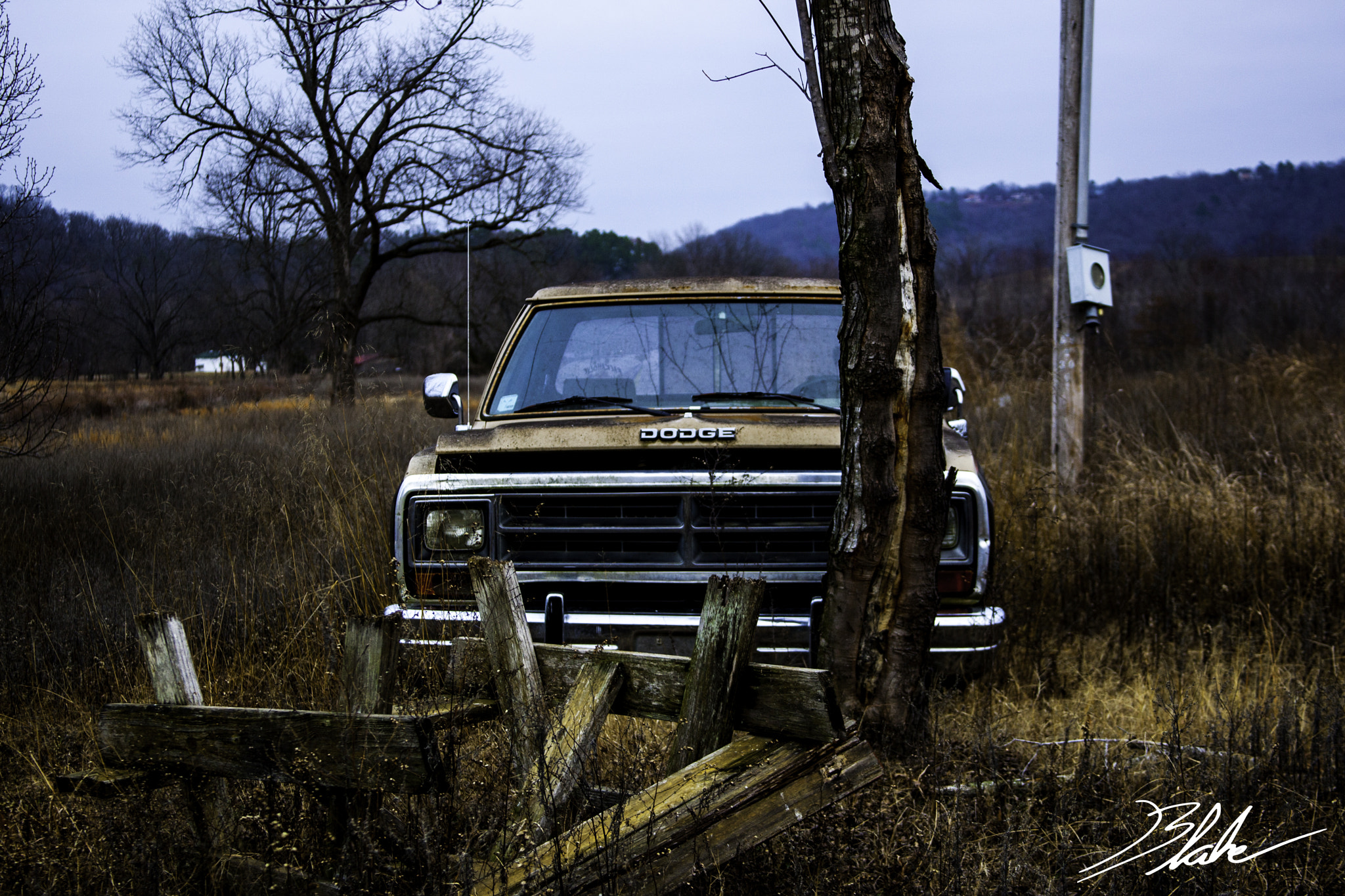 Canon EOS-1D Mark III sample photo. Dodge photography
