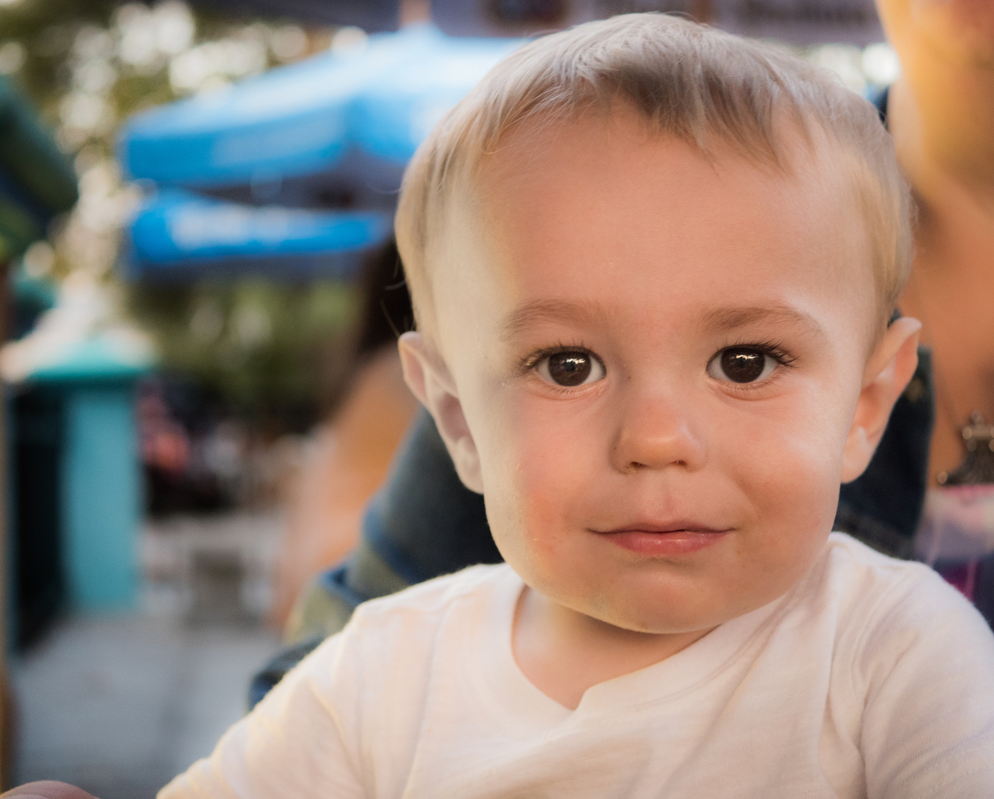 Panasonic Lumix DMC-GX8 sample photo. Owen at the garden photography