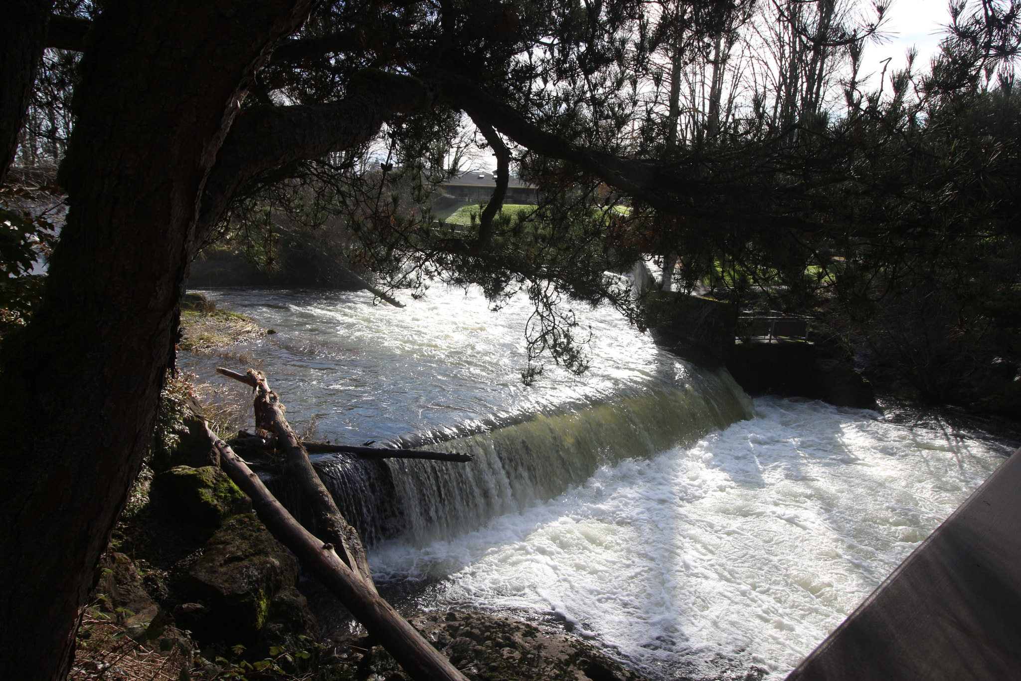 Canon EOS 700D (EOS Rebel T5i / EOS Kiss X7i) sample photo. Tumwater falls photography