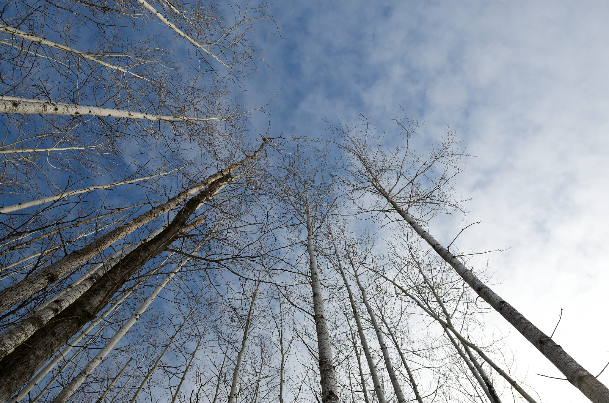 Nikon AF-S Nikkor 17-35mm F2.8D ED-IF sample photo. Winter sky photography