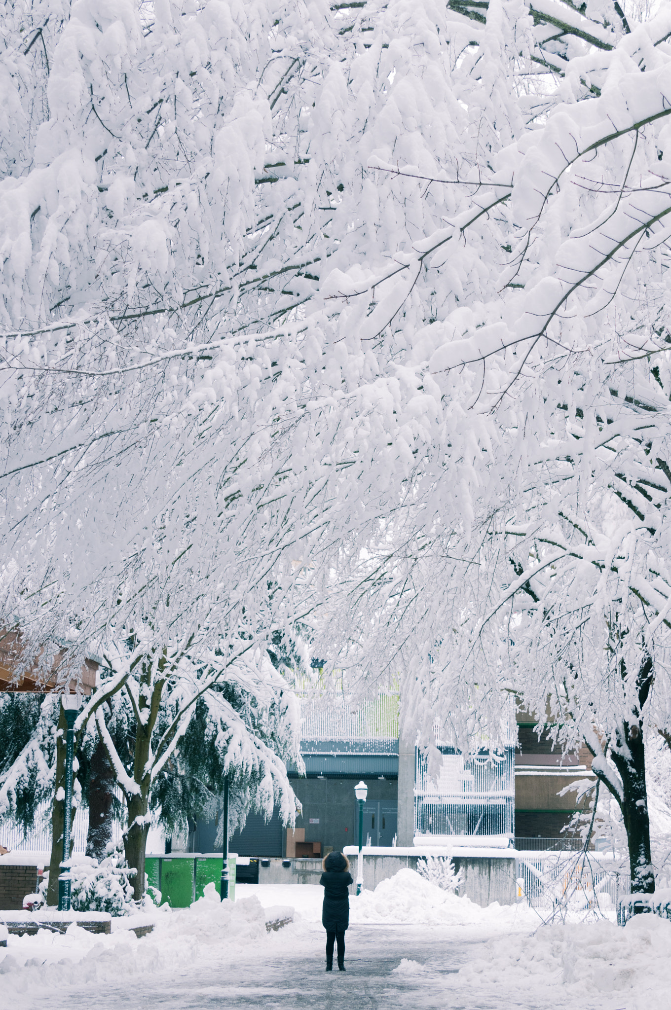 Nikon D300 sample photo. Portland oregon snow photography