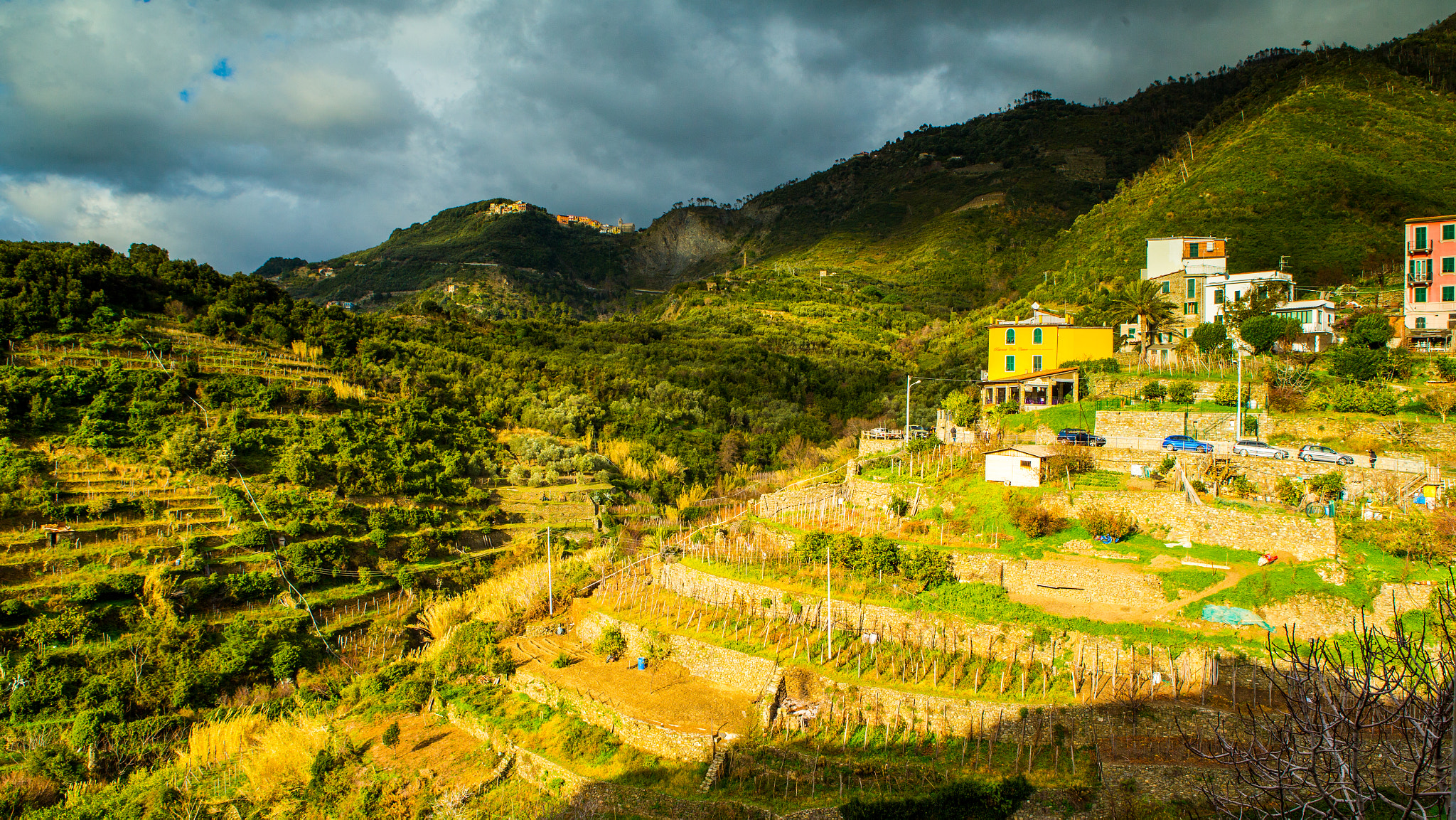 Canon EOS-1D X sample photo. Liguria, italy photography