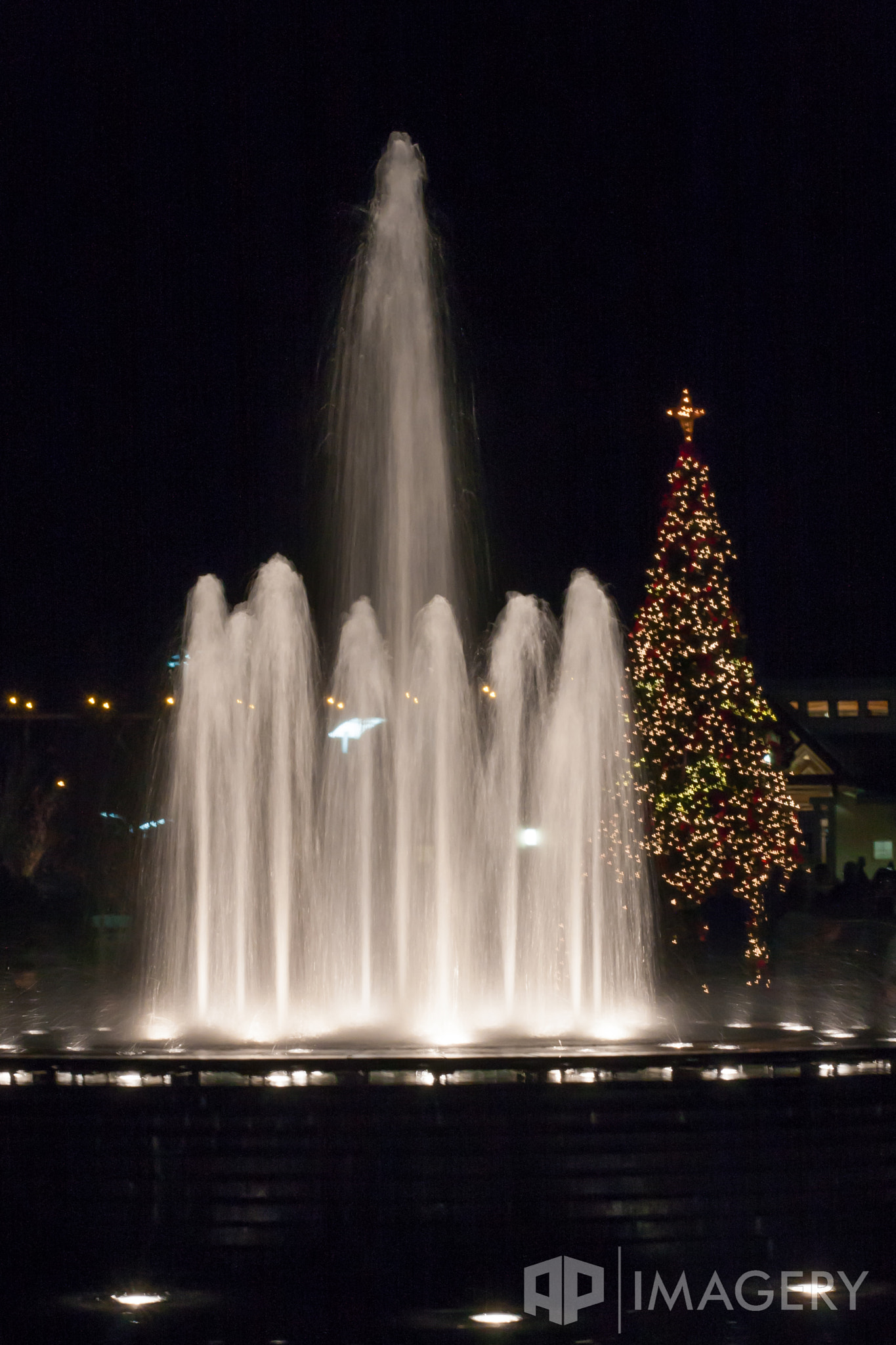 Tamron SP AF 17-50mm F2.8 XR Di II LD Aspherical (IF) sample photo. Christmas tree photography