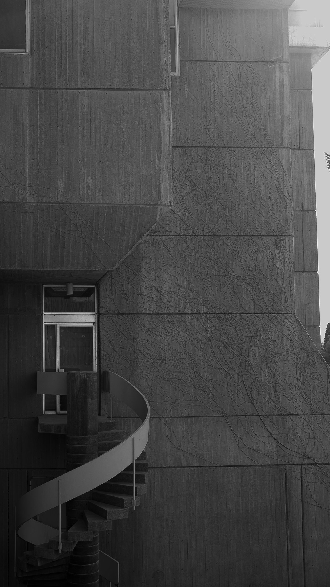 Panasonic Lumix DMC-GM1 + LUMIX G 20/F1.7 II sample photo. Staircase photography