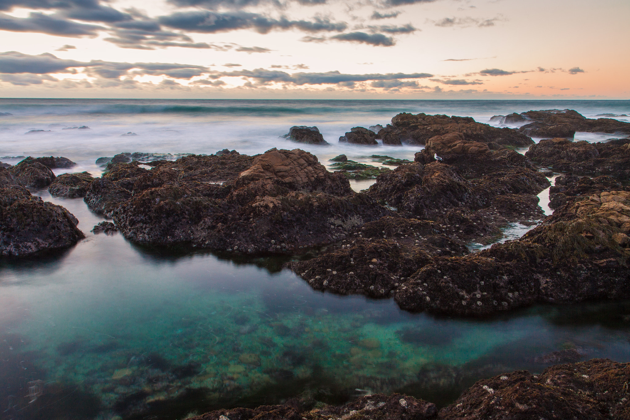 Canon EF-S 17-55mm F2.8 IS USM sample photo. Asilomar sunset photography