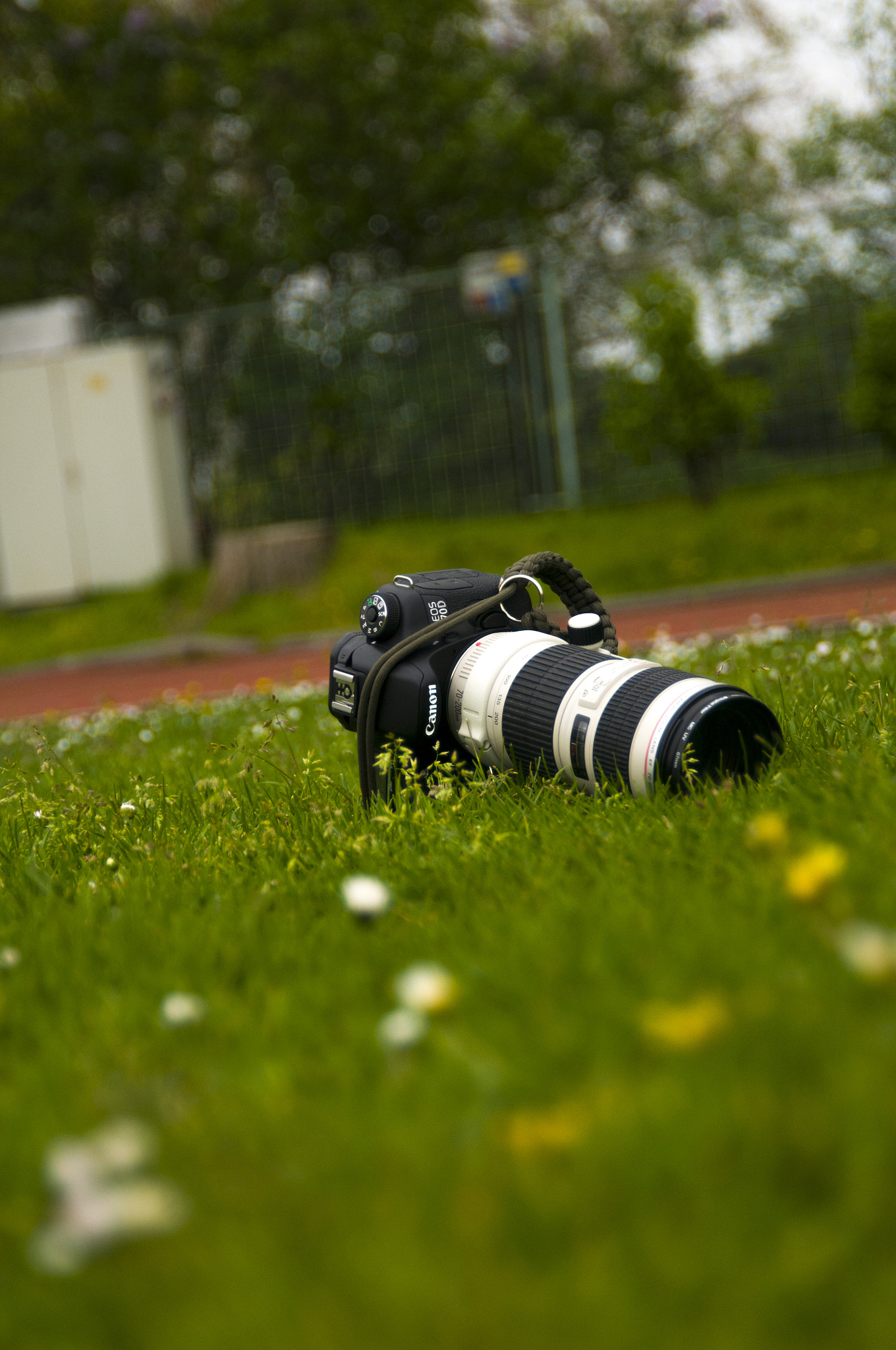 Nikon D300 sample photo. Kristol photography