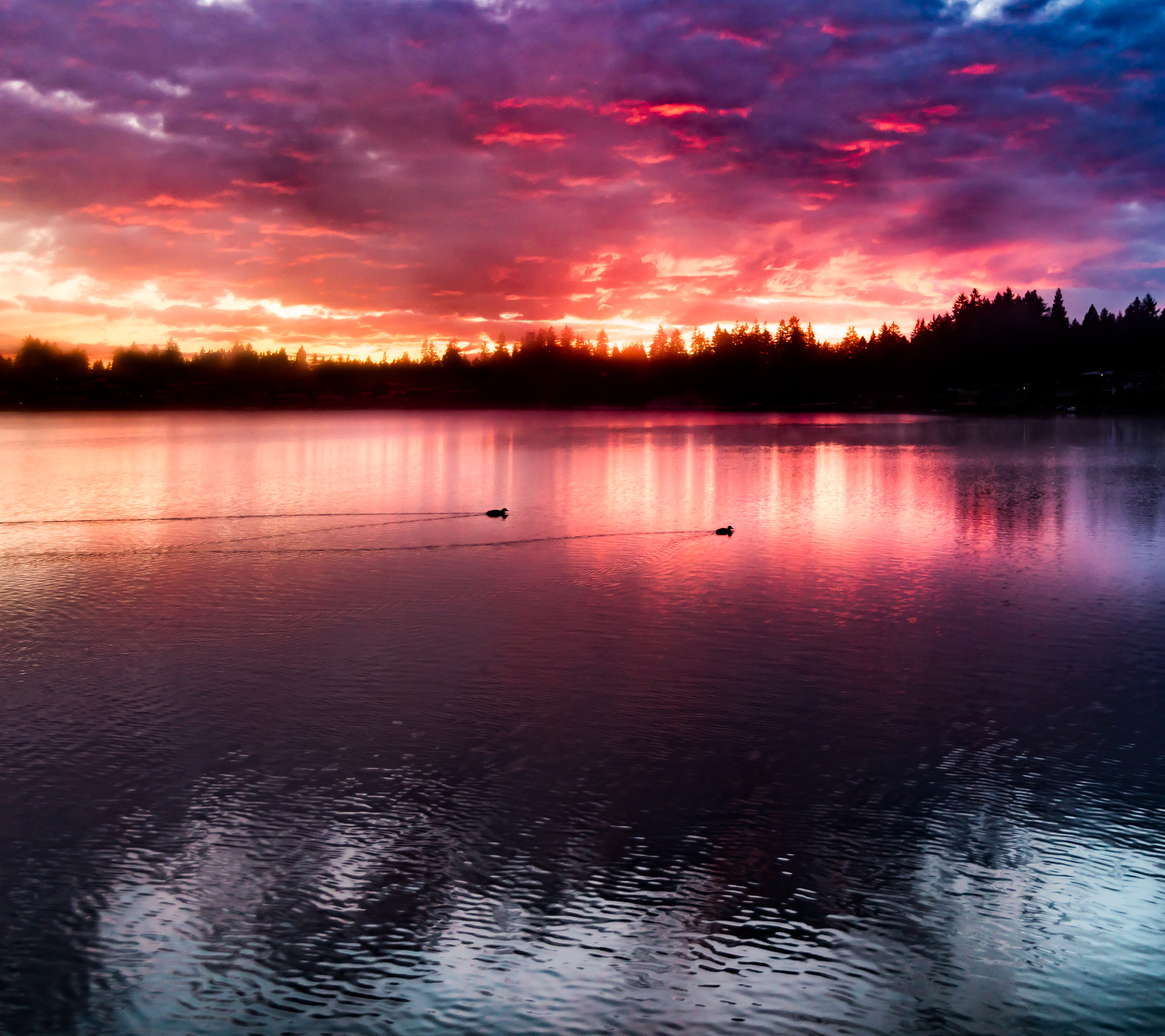 Nikon D810 sample photo. Sky on fire. also: ducks (not on fire) photography