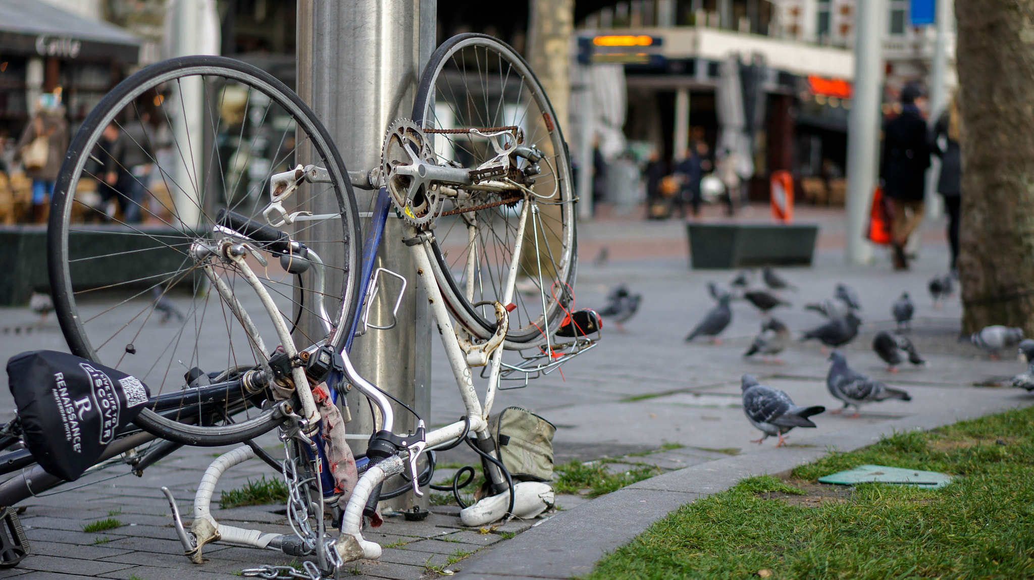 Sony Alpha NEX-5 + E 50mm F1.8 OSS sample photo. Postcard from amsterdam photography