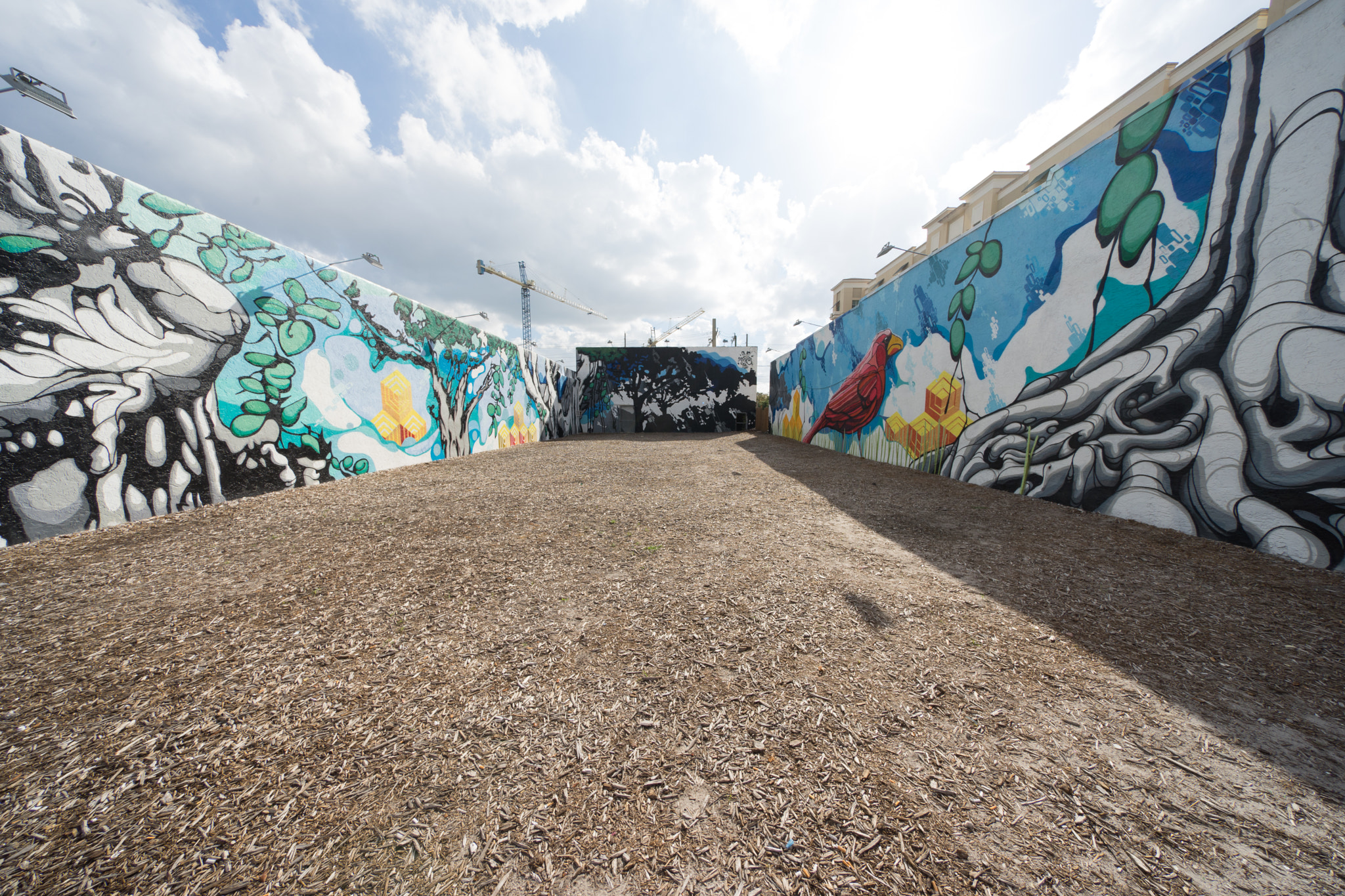 Sony a7 II + Voigtlander HELIAR-HYPER WIDE 10mm F5.6 sample photo. Dsc photography