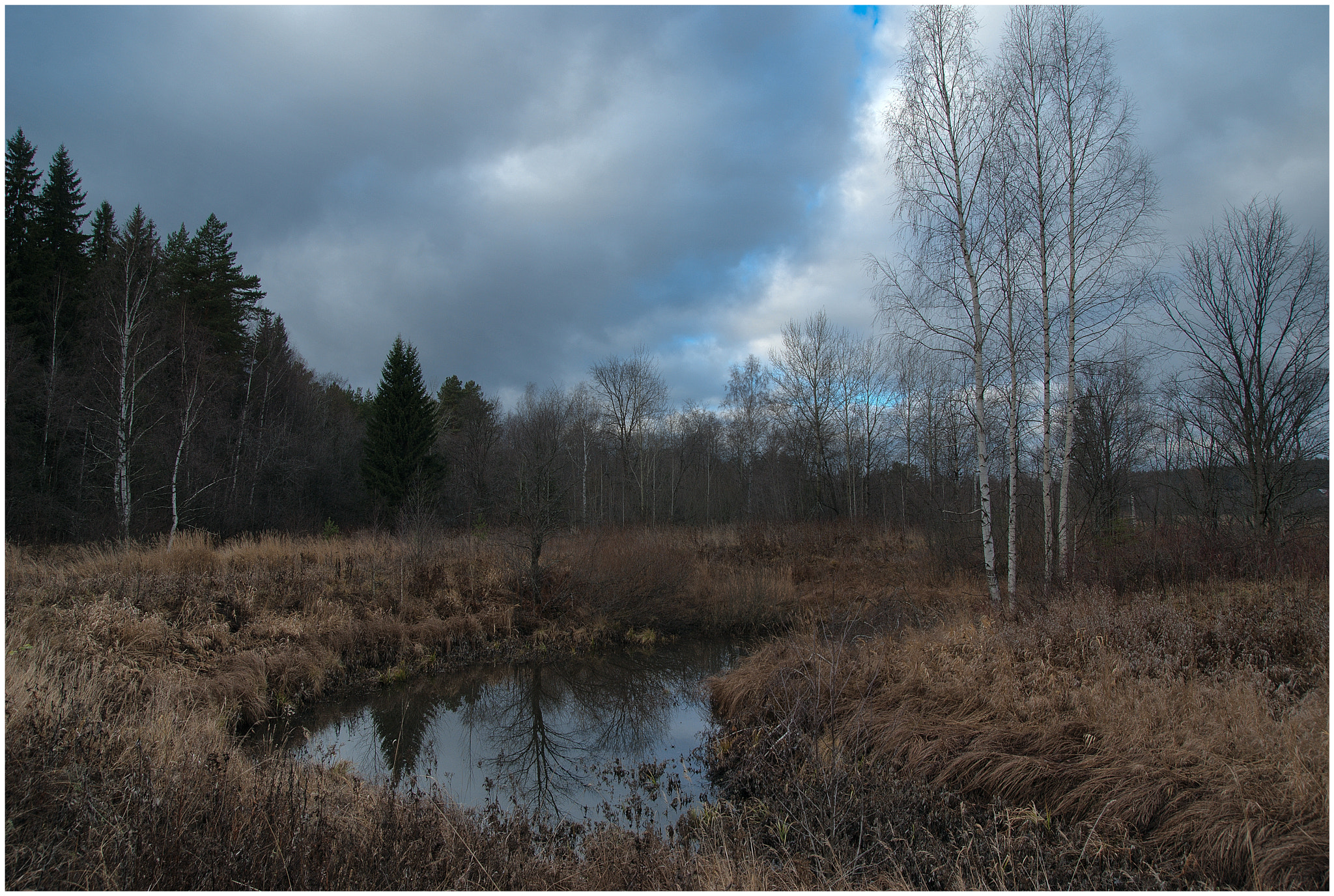 Sony Alpha DSLR-A200 sample photo. November photography