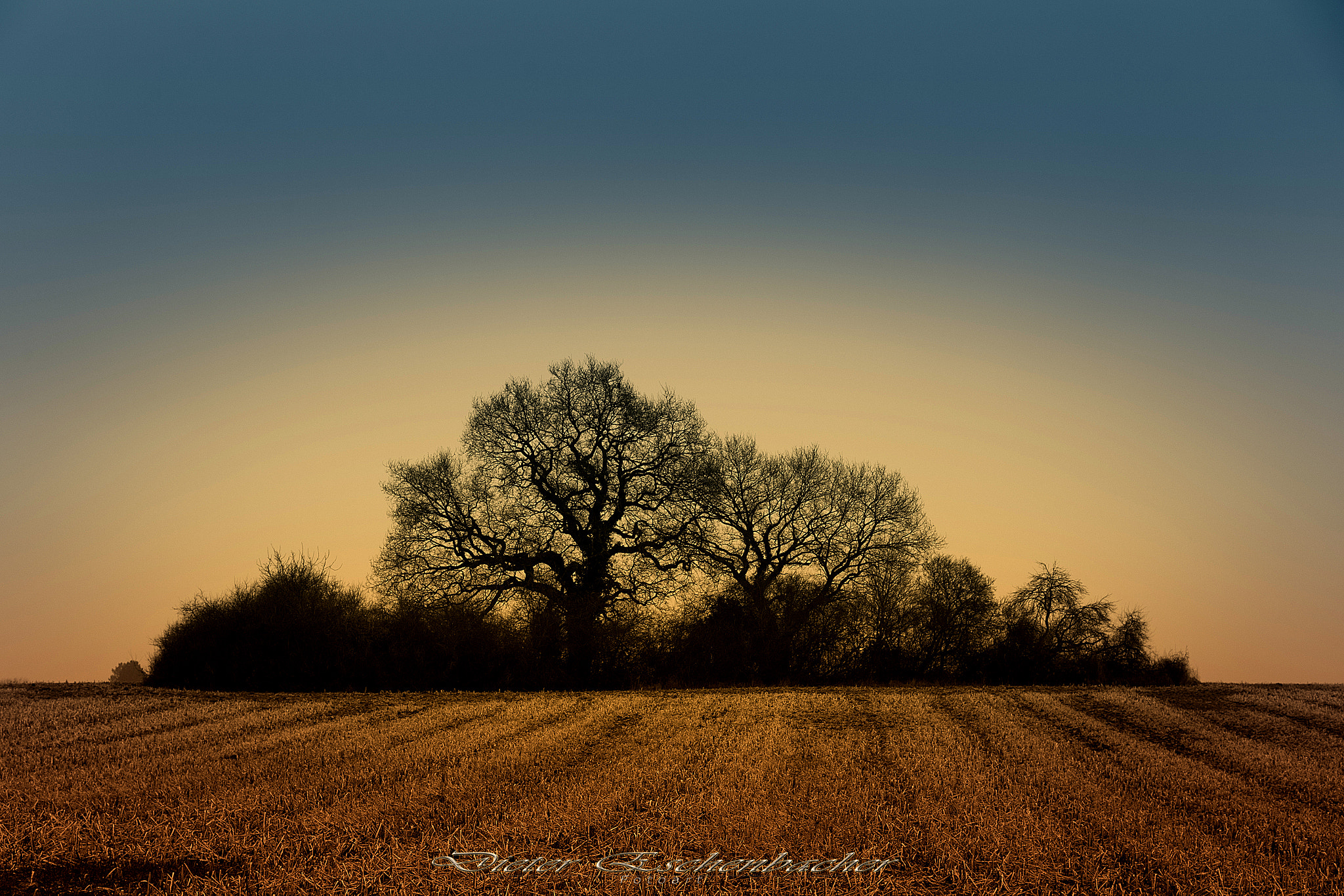 Sigma 24-105mm f/4 DG OS HSM | A sample photo. Blattlos photography