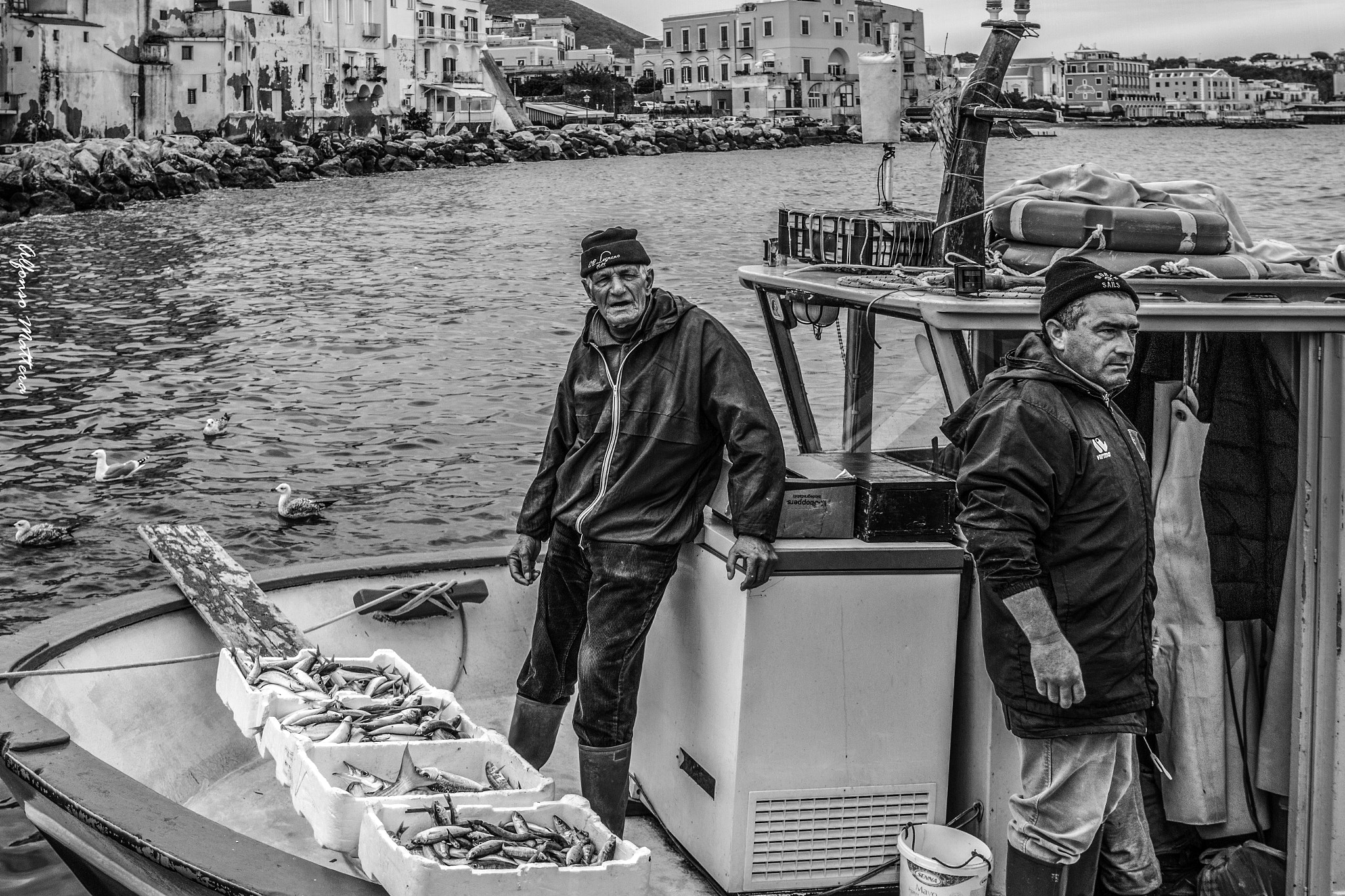 Canon EF-S 24mm F2.8 STM sample photo. Vendita del pescato photography