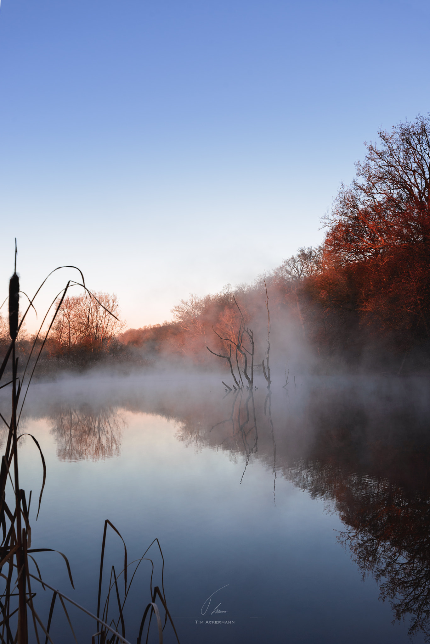 Tamron SP 15-30mm F2.8 Di VC USD sample photo. Morning light photography