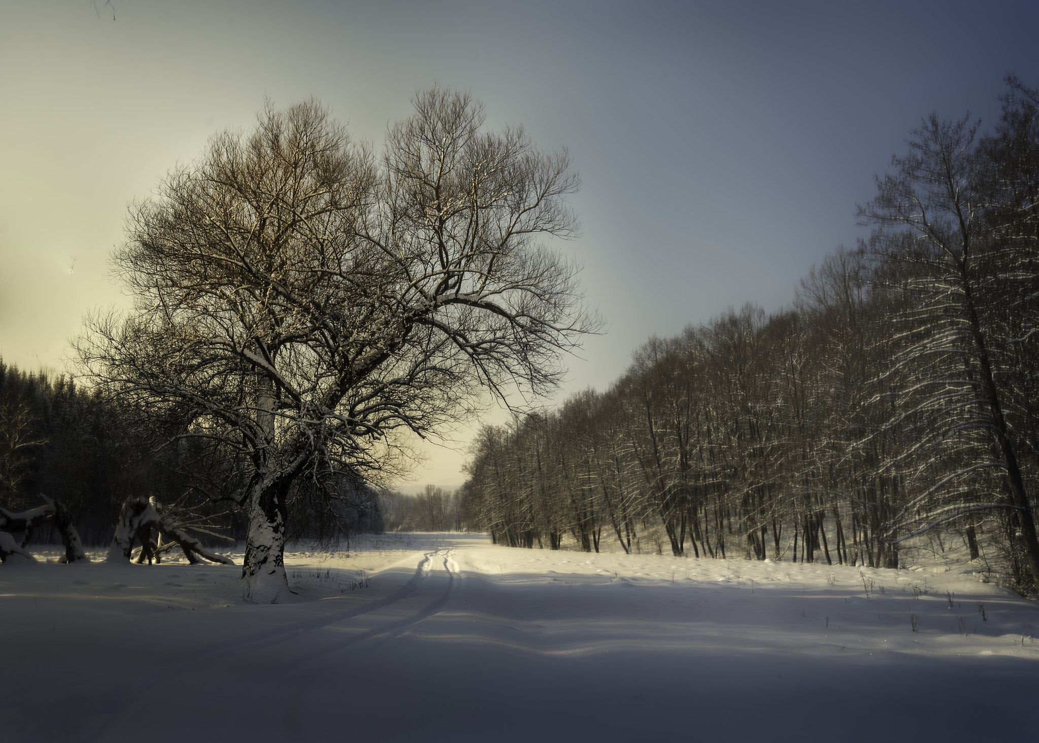 AF Zoom-Nikkor 28-80mm f/3.3-5.6G sample photo. Winter in moreni, romania. photography