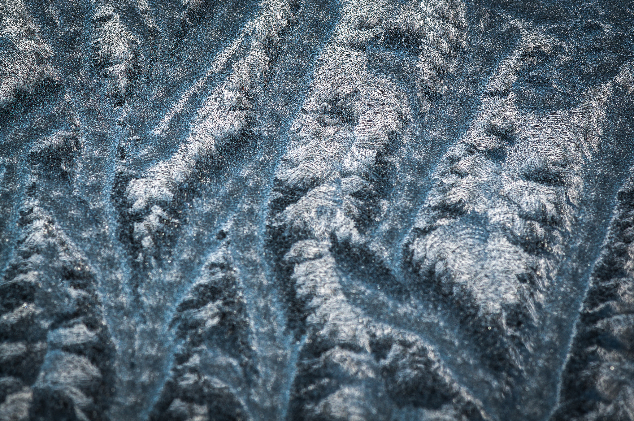Nikon AF-S Micro-Nikkor 105mm F2.8G IF-ED VR sample photo. The relief on the window photography