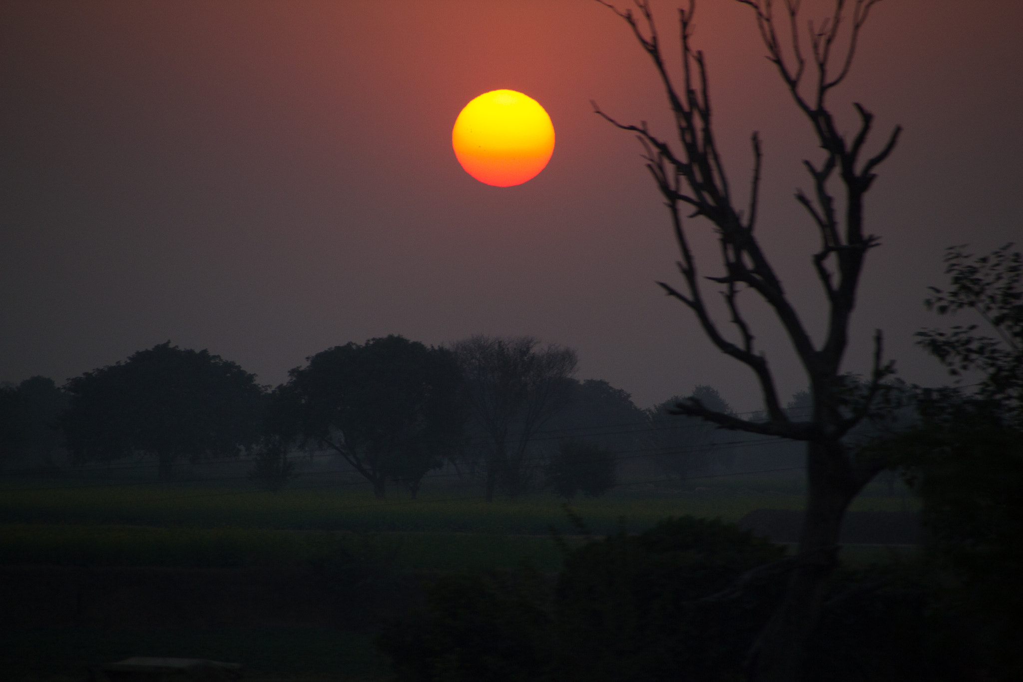 Sigma 18-250mm F3.5-6.3 DC OS HSM sample photo. Indian outback photography