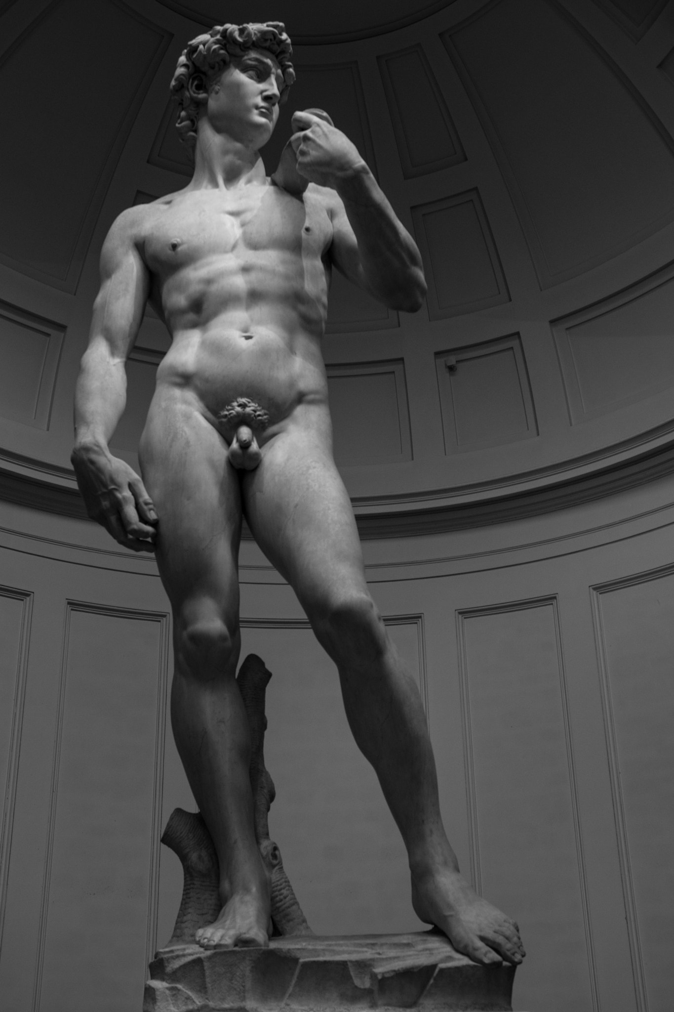 Nikon D5500 + Sigma 18-35mm F1.8 DC HSM Art sample photo. Firenze_3 photography