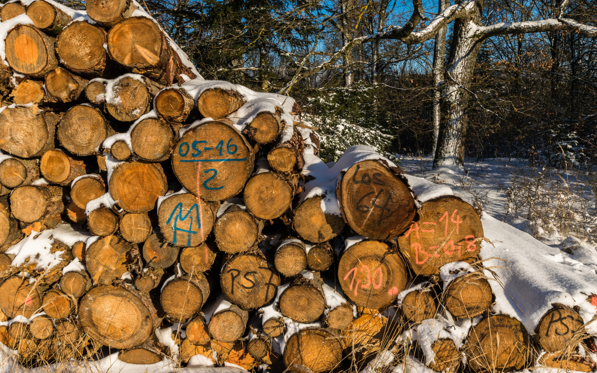 Nikon D3300 + Sigma 10-20mm F3.5 EX DC HSM sample photo. Diagonal stack of wood photography