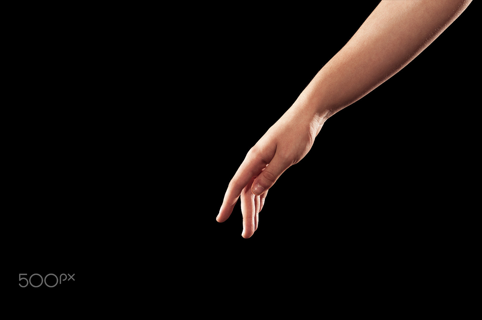 Nikon D700 + AF Micro-Nikkor 105mm f/2.8 sample photo. Closeup of female dancer hand in ballet position photography