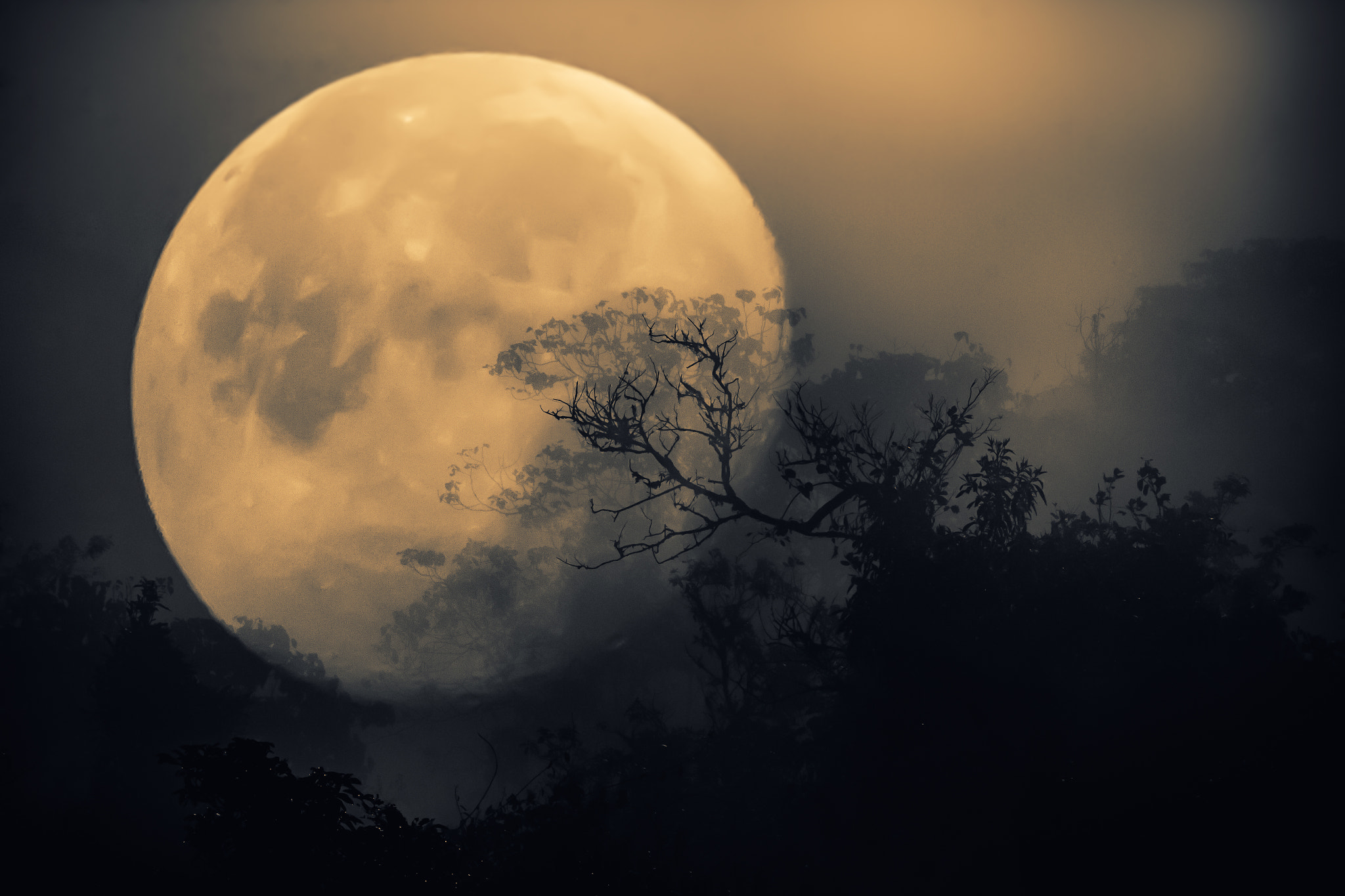 Canon EOS 60D + Canon EF 70-200mm F4L IS USM sample photo. Super moon in blood photography