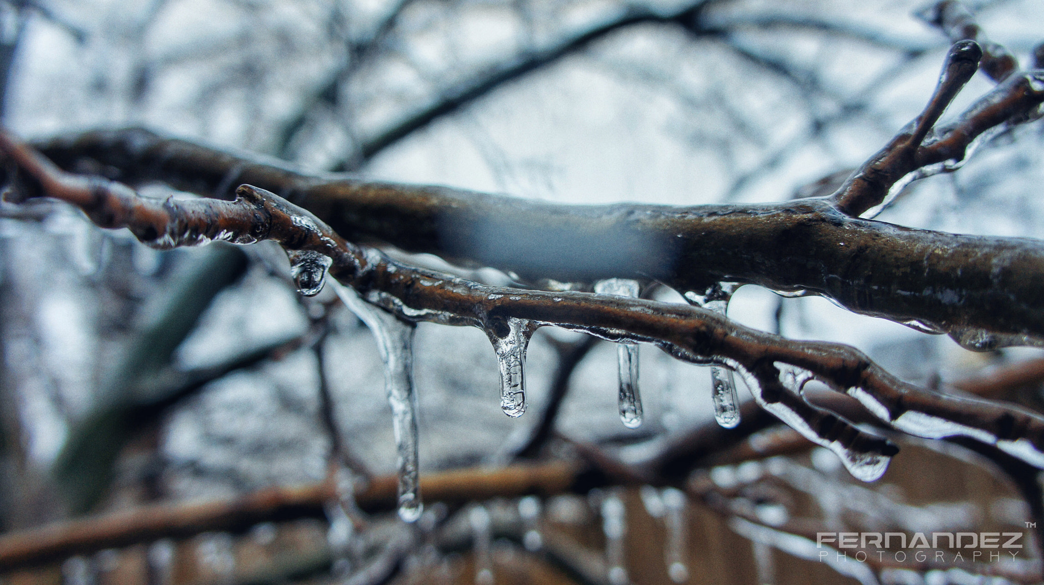 Sony Alpha NEX-5 sample photo. Stranger things photography