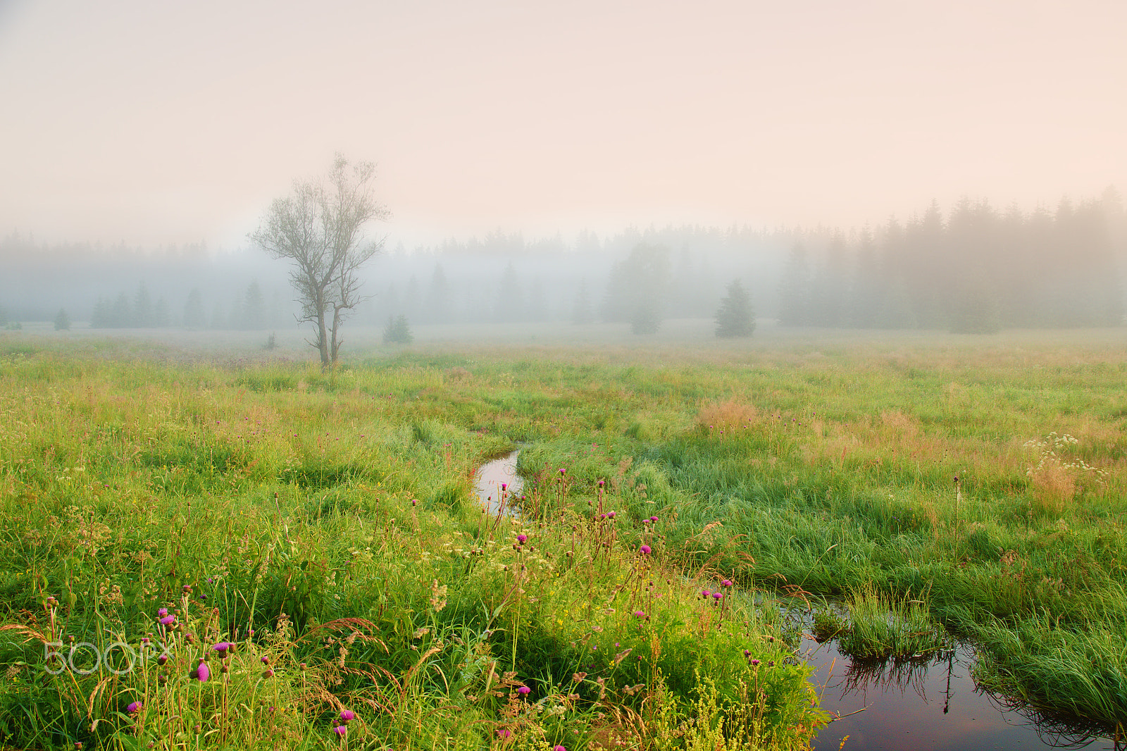 Sigma 17-70mm F2.8-4 DC Macro OS HSM sample photo. Morning in south bohemia photography