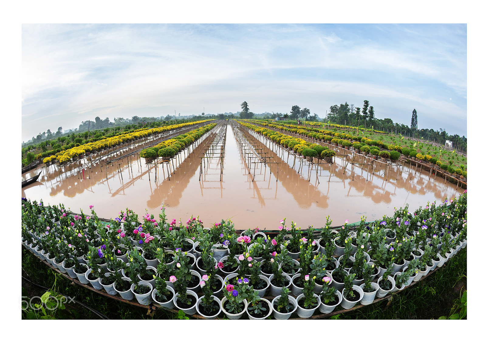 Nikon D700 + Nikon AF Fisheye-Nikkor 16mm F2.8D sample photo. Spring in the mekong delta photography