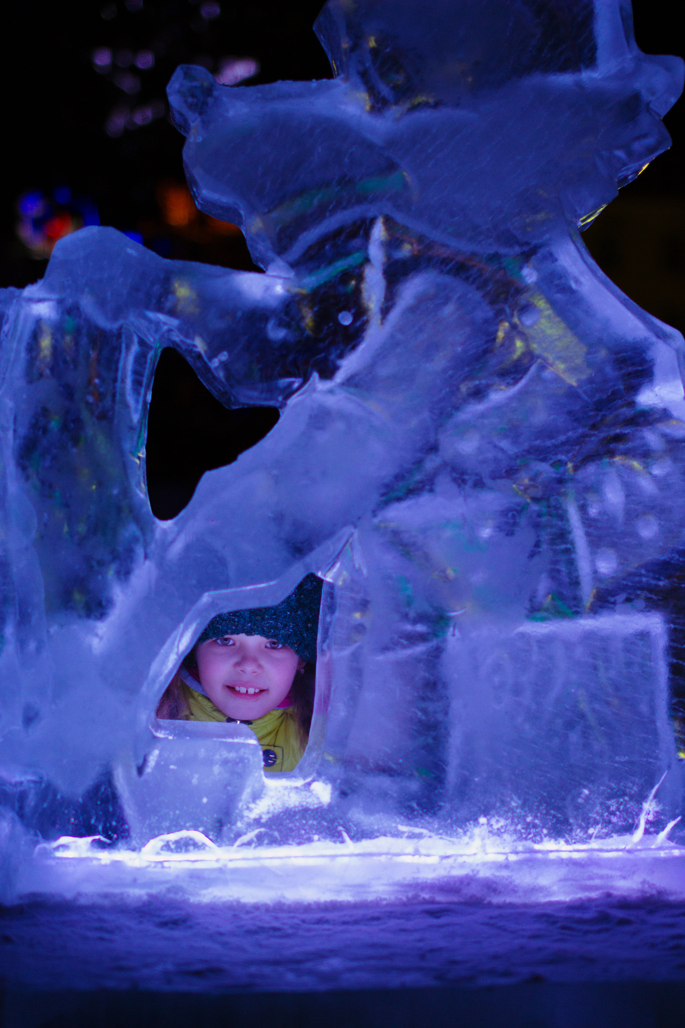 Sigma 50mm F1.4 EX DG HSM sample photo. Ice tale photography