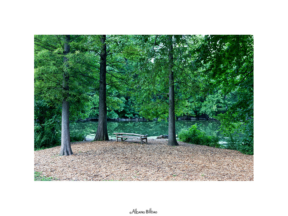 Canon EF 24-70mm F4L IS USM sample photo. Central park photography