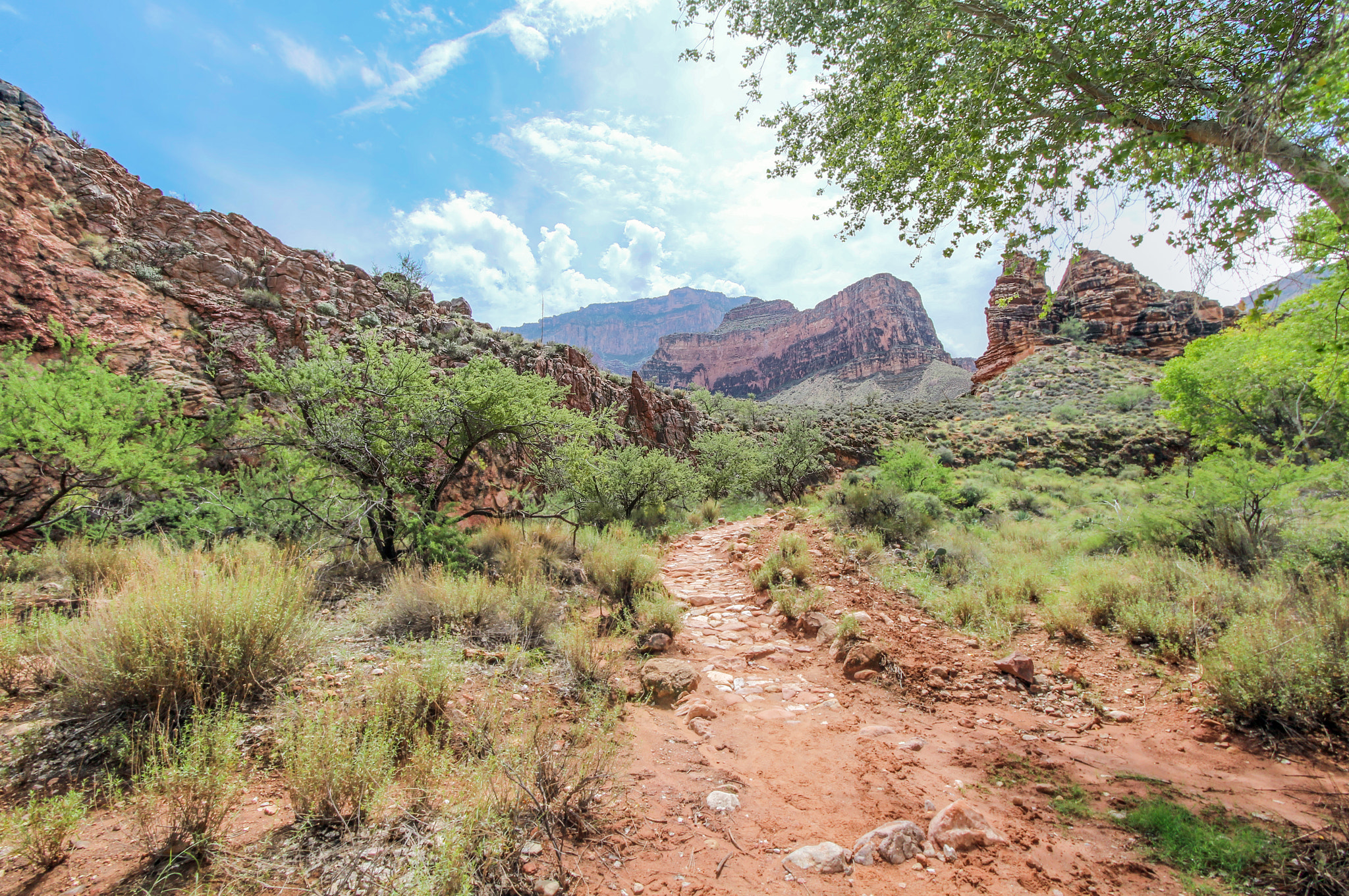 Canon EF-S 10-22mm F3.5-4.5 USM sample photo. Grand canyon photography