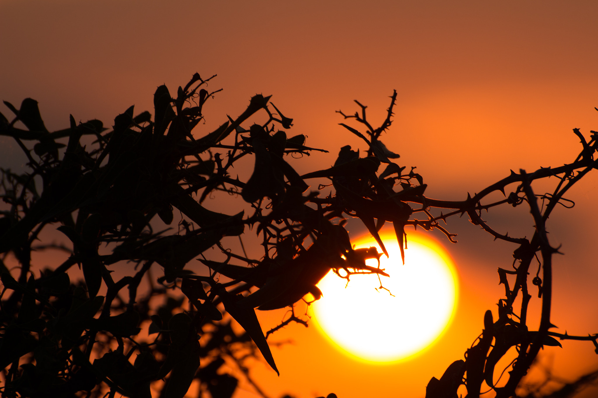 Canon EOS 100D (EOS Rebel SL1 / EOS Kiss X7) + Tamron SP 35mm F1.8 Di VC USD sample photo. Sunset in menorca i photography