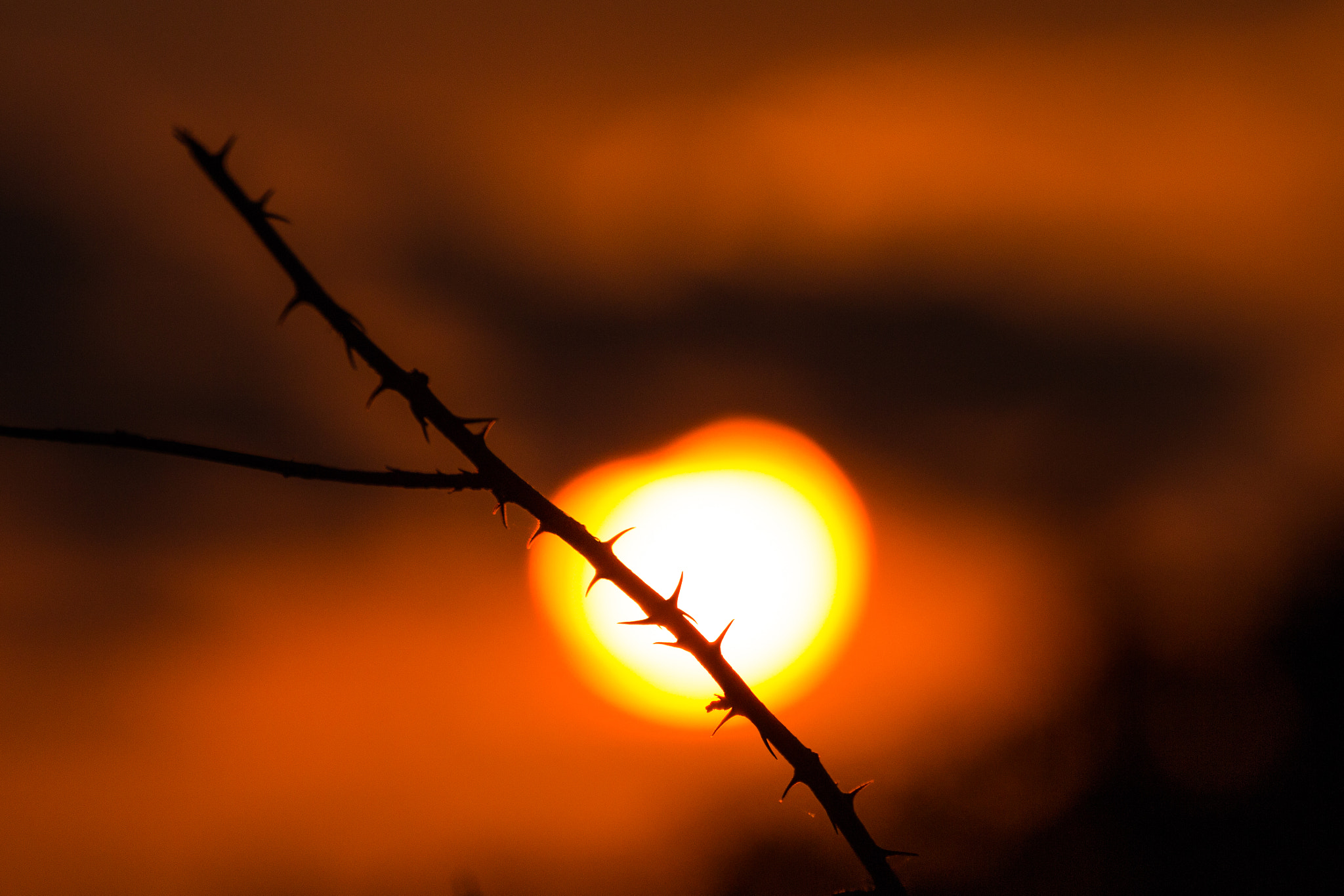 Canon EOS 100D (EOS Rebel SL1 / EOS Kiss X7) + Tamron SP 35mm F1.8 Di VC USD sample photo. Sunset in menorca ii photography