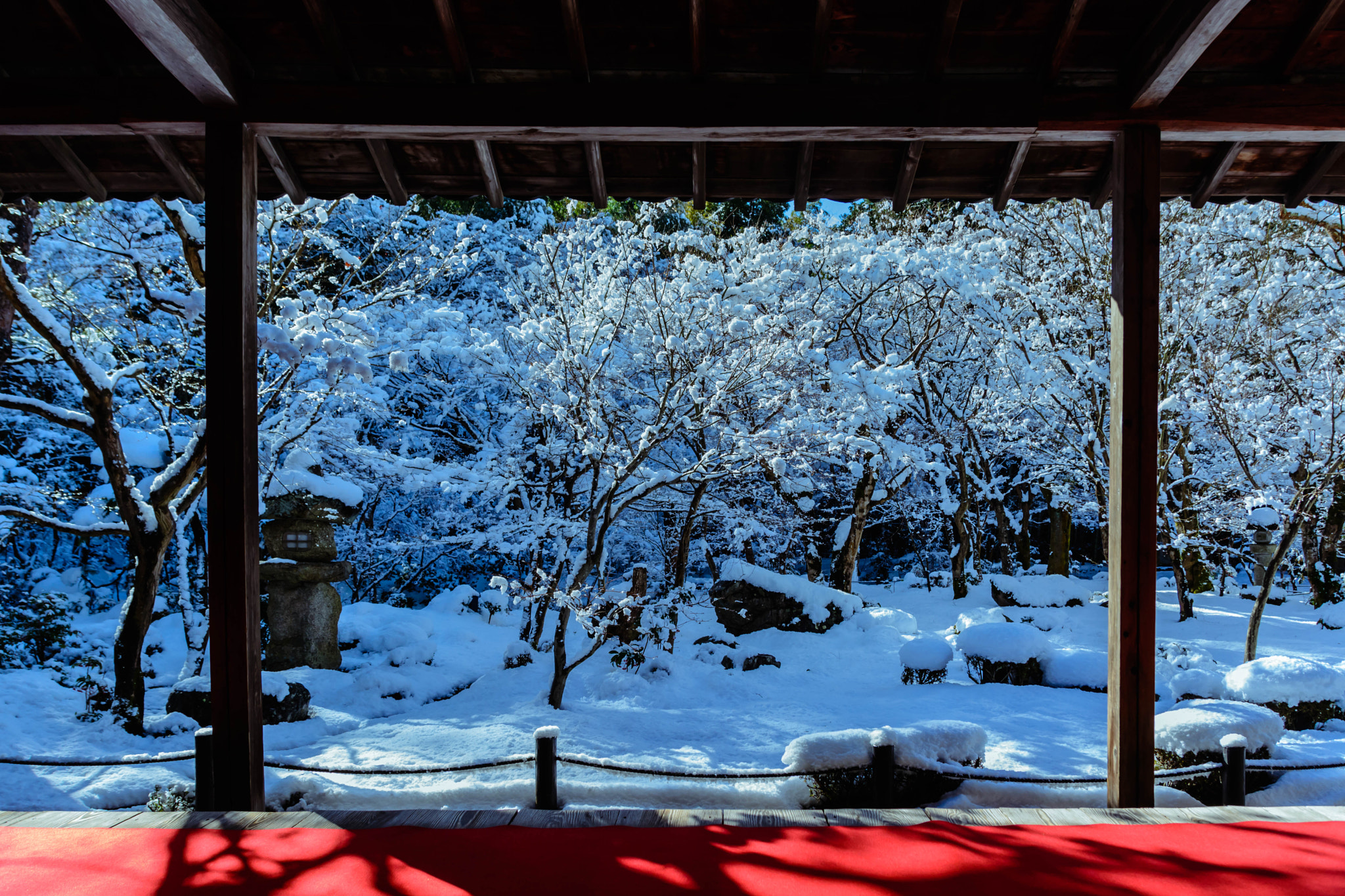 Nikon D5200 + Sigma 18-200mm F3.5-6.3 II DC OS HSM sample photo. 雪の京都圓光寺・十牛の庭 photography