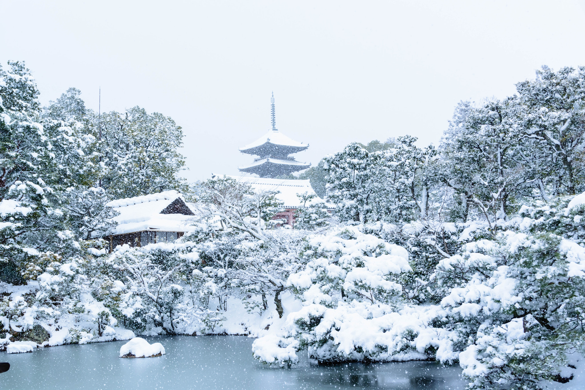 Nikon D5200 + Sigma 18-200mm F3.5-6.3 II DC OS HSM sample photo. 白の仁和寺 photography