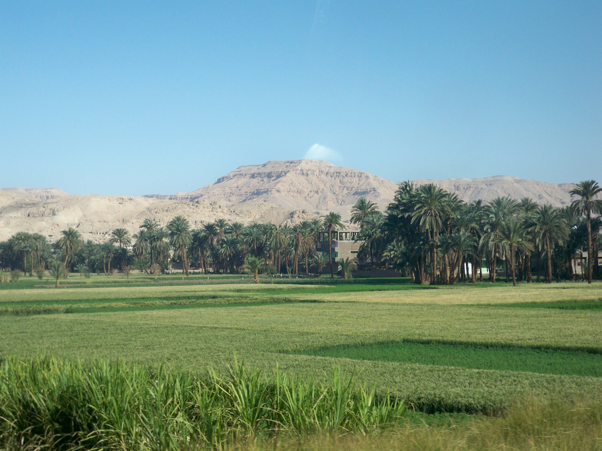 Kodak EASYSHARE M1093 IS DIGITAL CAMERA sample photo. South egypt photography