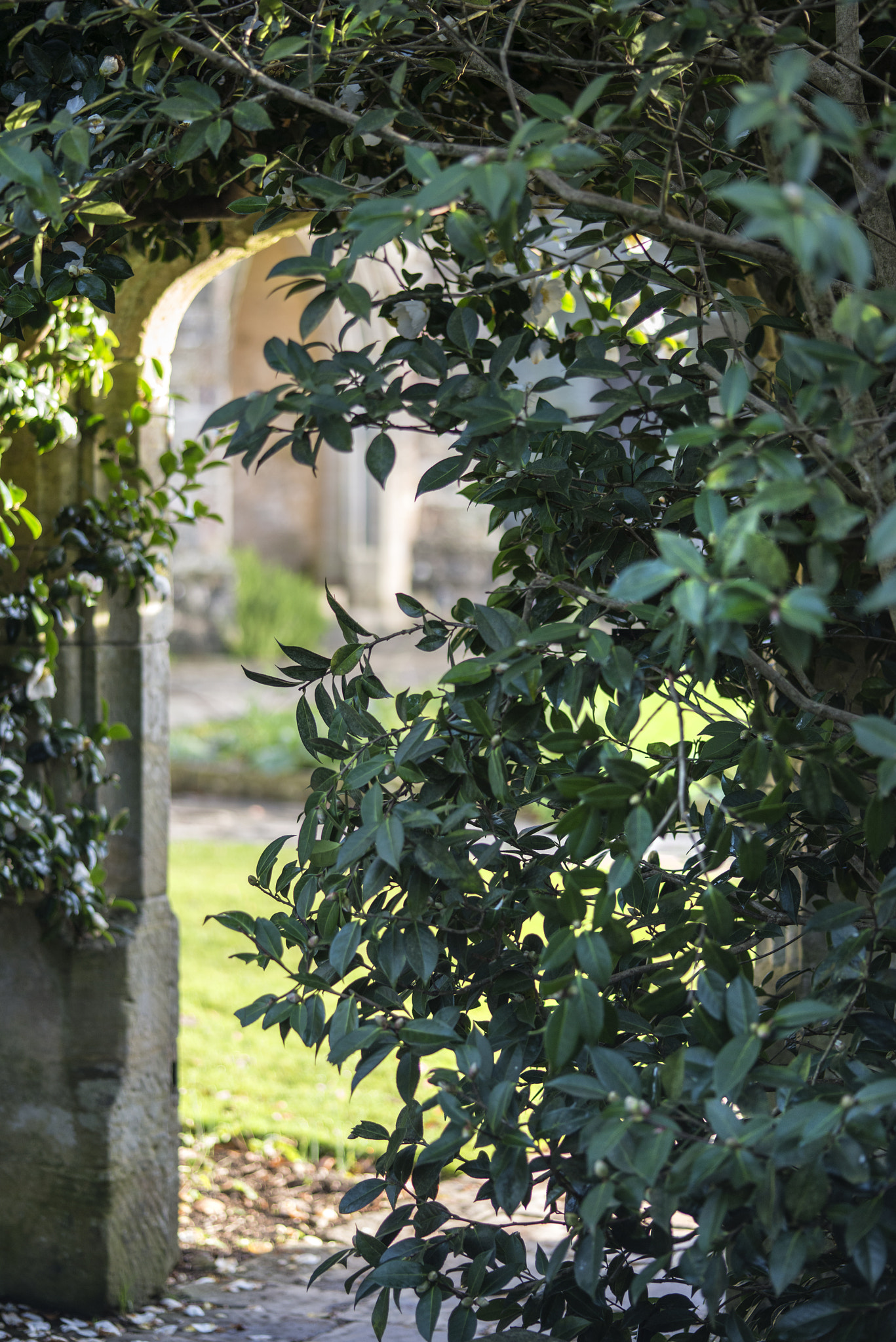 Nikon D800 + Sigma 105mm F2.8 EX DG Macro sample photo. View through stone archway into beautiful medieval landscape gar photography