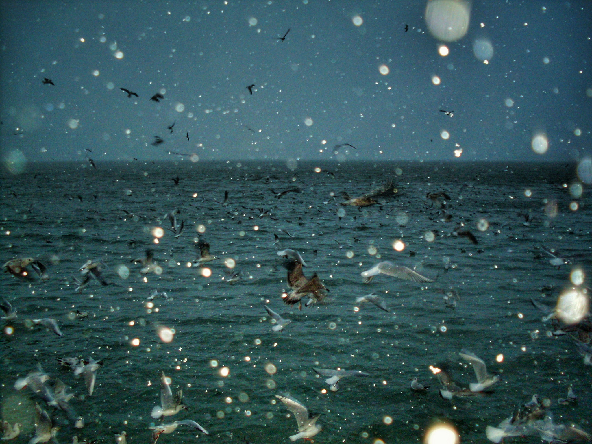 Samsung KENOX S760  / Samsung S760 sample photo. The sea's bum travelers photography