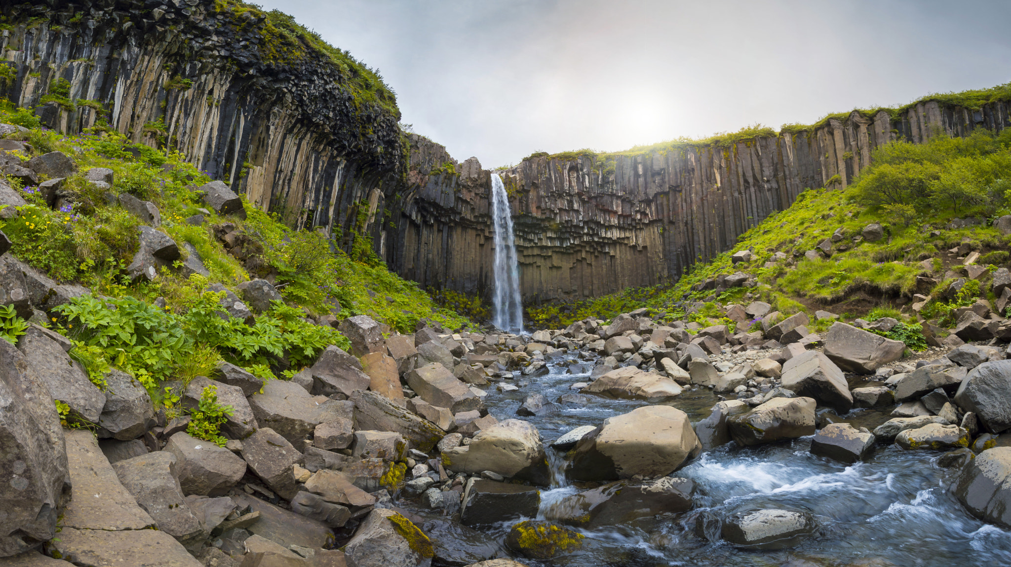 Sigma 10-20mm F3.5 EX DC HSM sample photo. Black fall photography