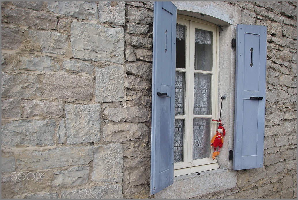 Pentax OPTIO W10 sample photo. Clown photography