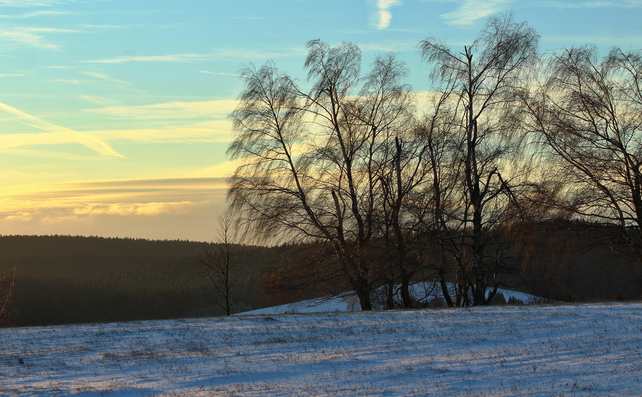 Canon EOS 1200D (EOS Rebel T5 / EOS Kiss X70 / EOS Hi) + Canon EF 70-200mm F4L USM sample photo. Frosty sunset photography