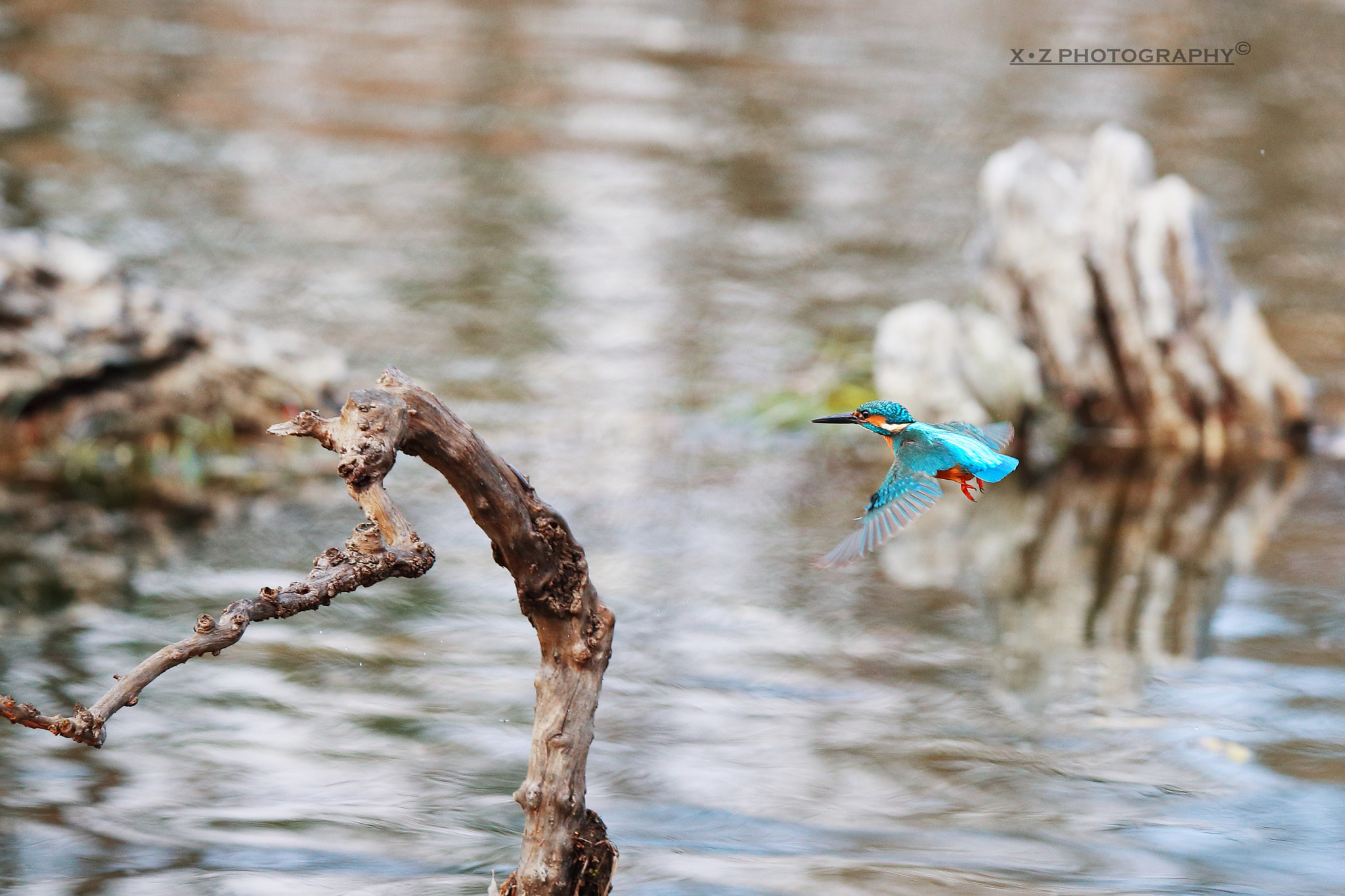 Canon EOS-1D X Mark II sample photo