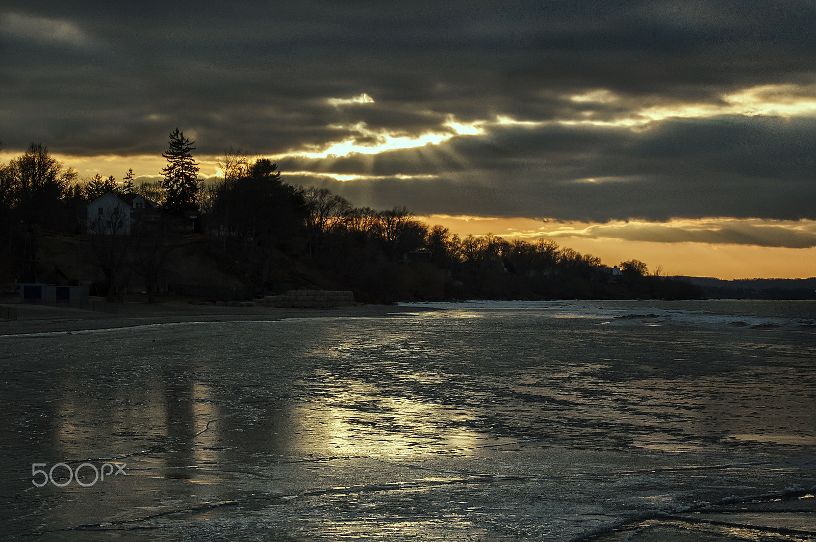 Nikon D5000 sample photo. Reflected textures photography