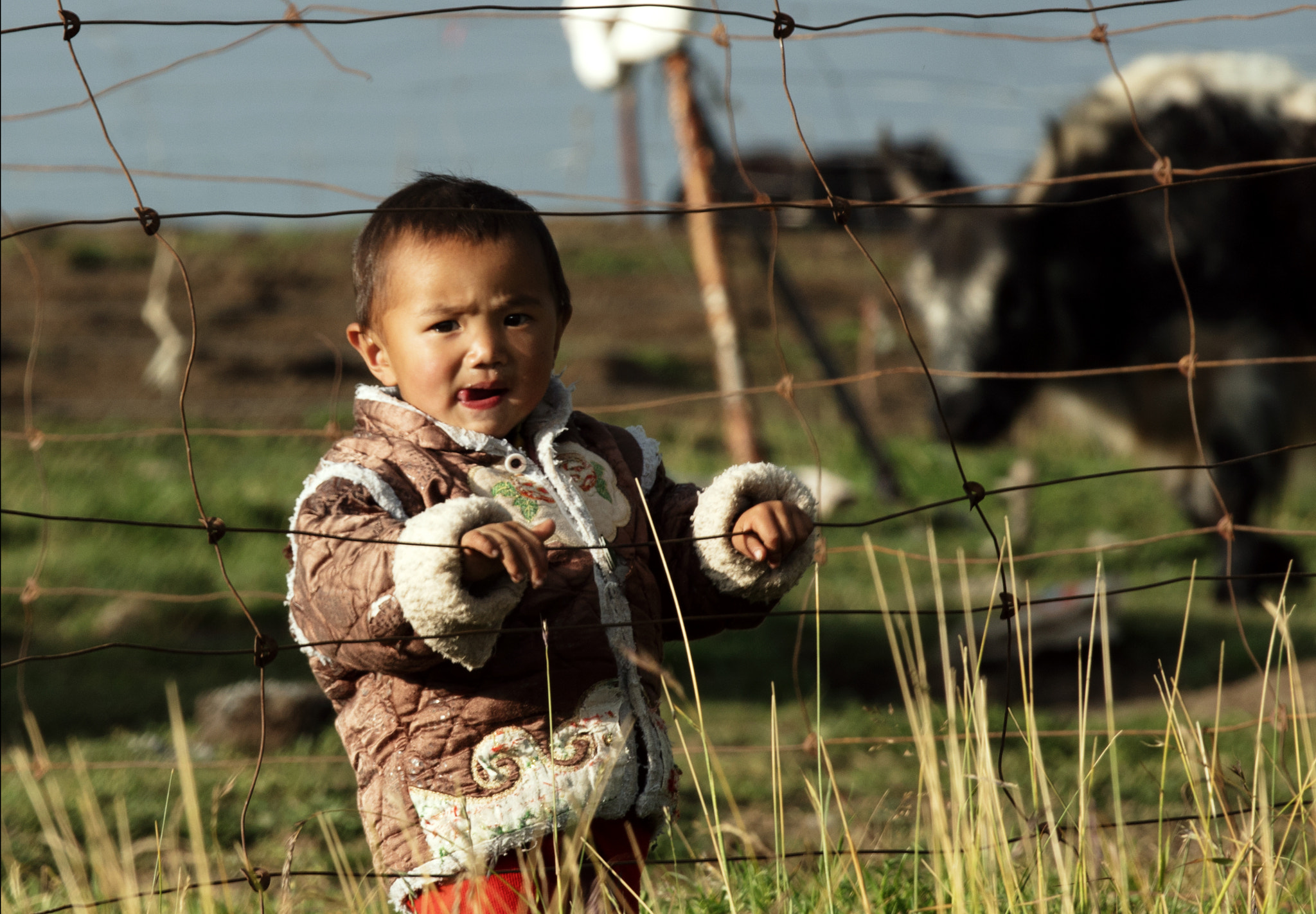 Canon EOS 5DS sample photo. Shepherd boy photography
