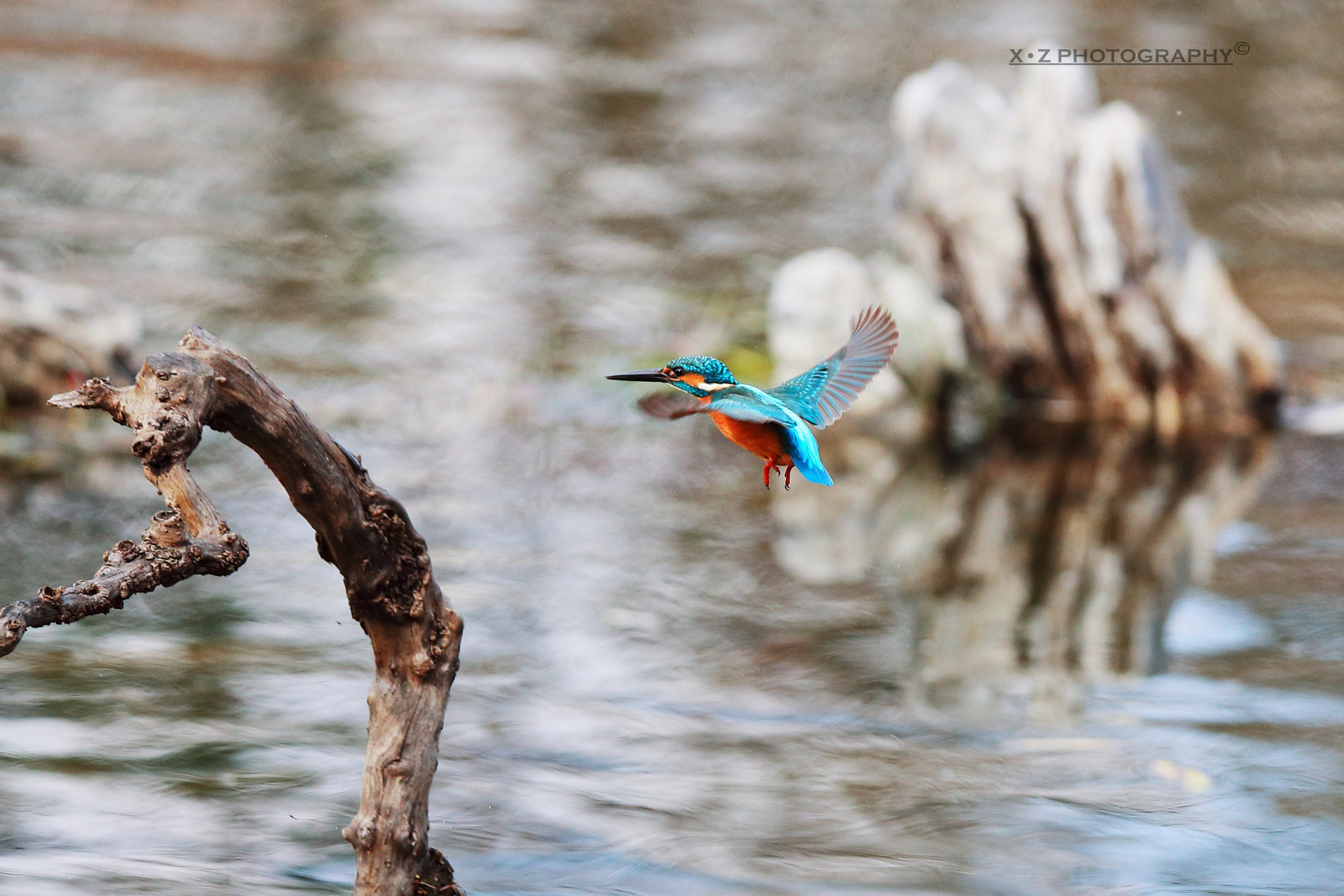 Canon EOS-1D X Mark II sample photo